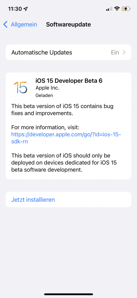 iOS Beta 6 Installer Screen
