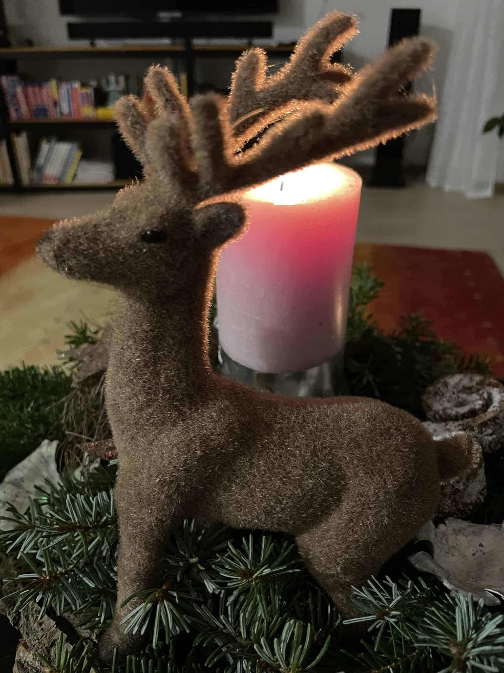 Hirsch auf Adventskranz mit Kerze