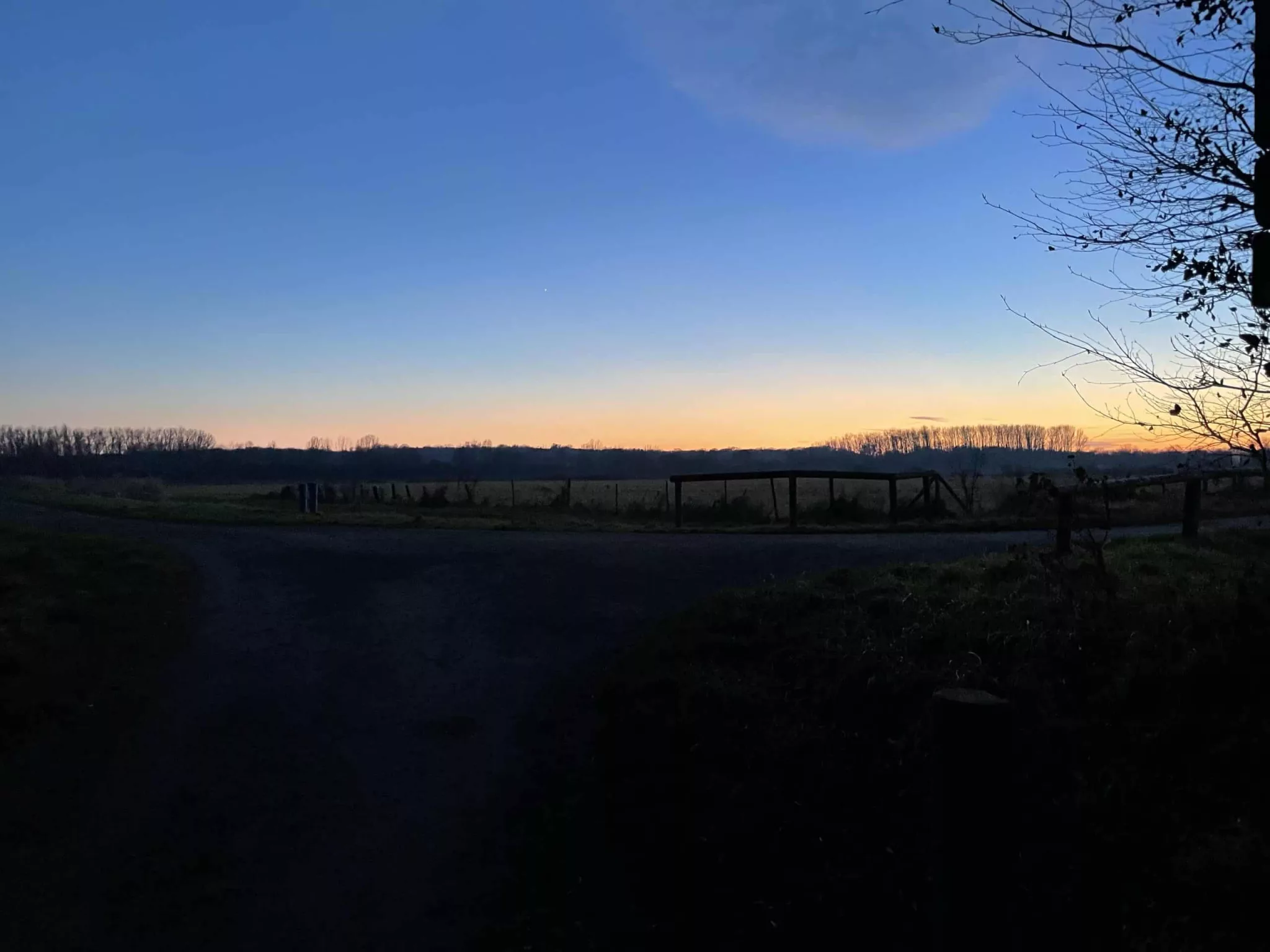 Nachmittagszene in der Natur 2