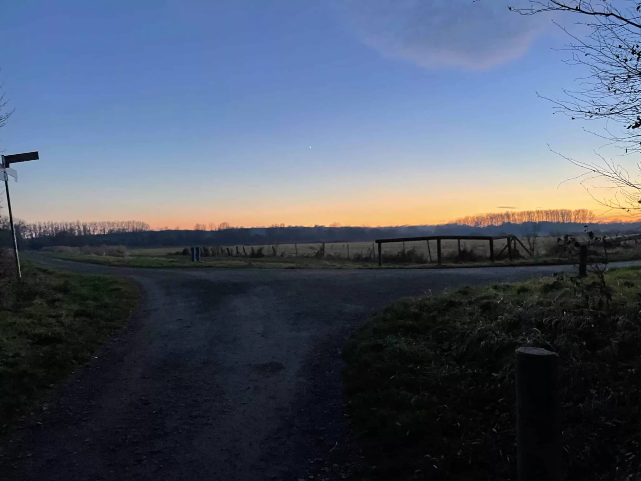 Nachmittagszene in der Natur 3