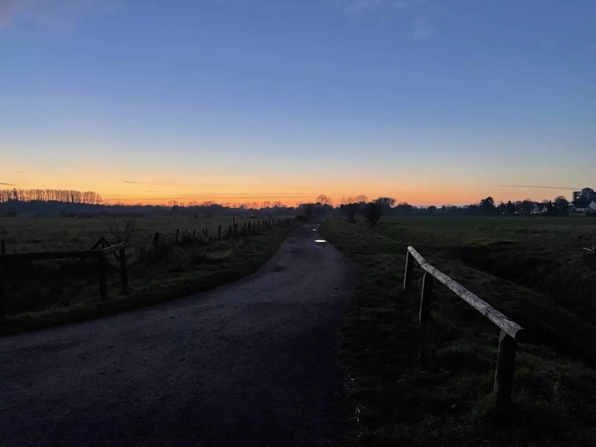 Nachmittagszene in der Natur 4