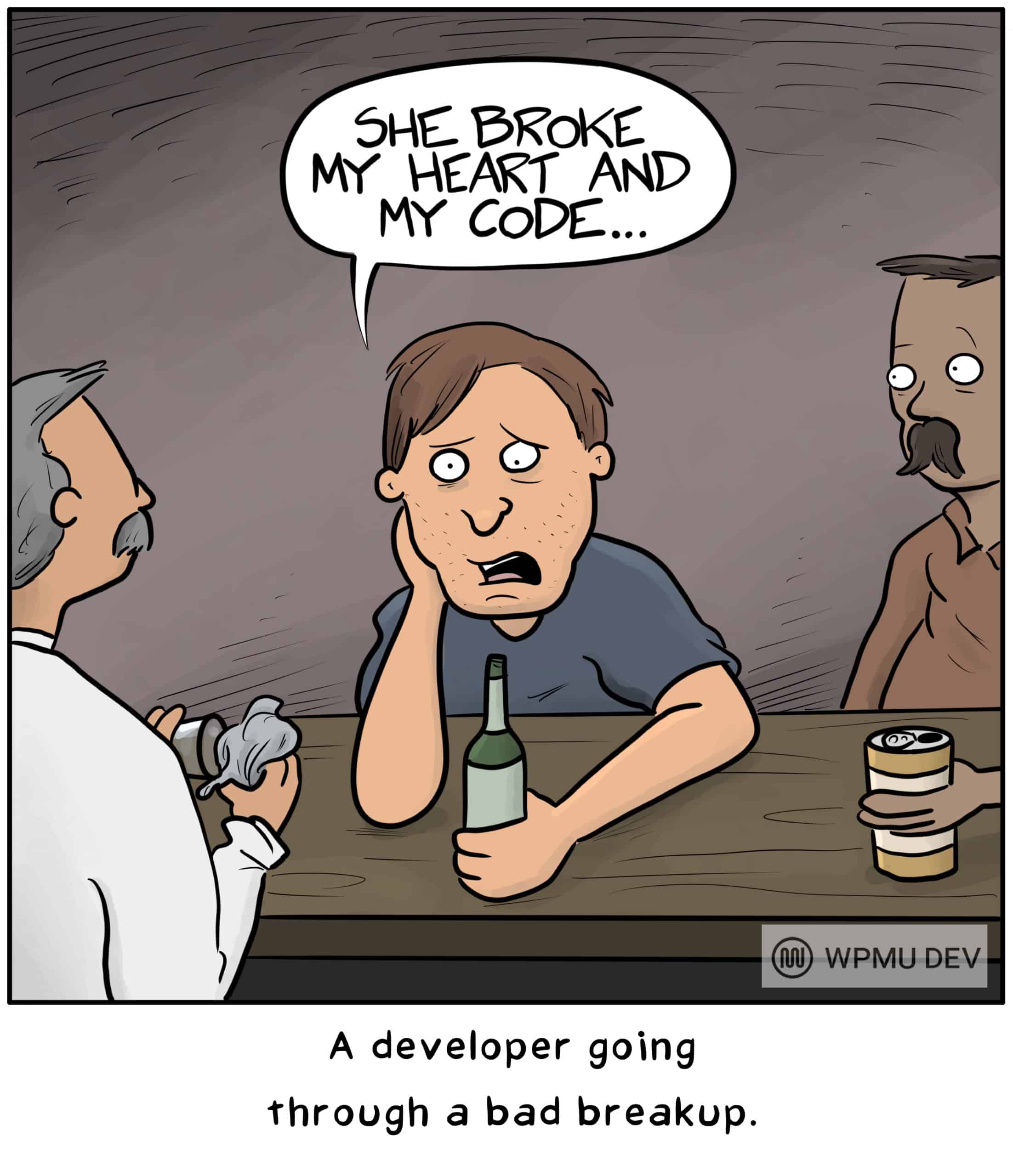 Developer Comic