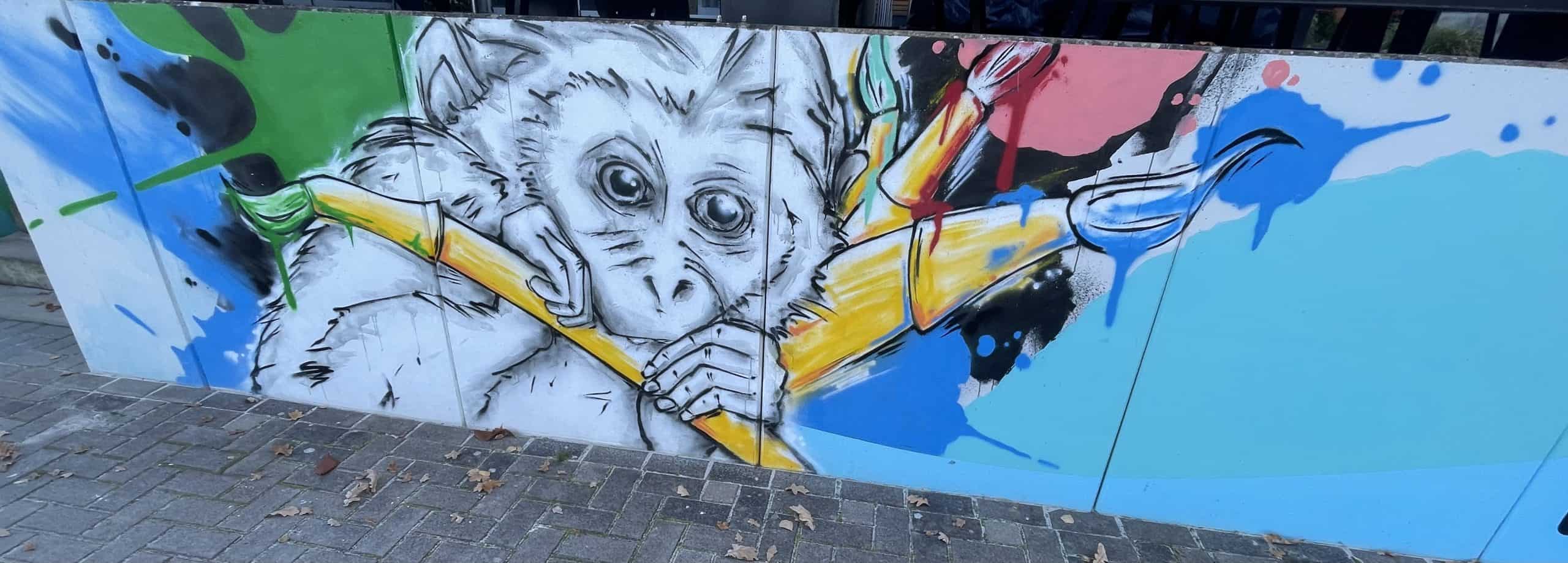 Affengraffiti auf Wand