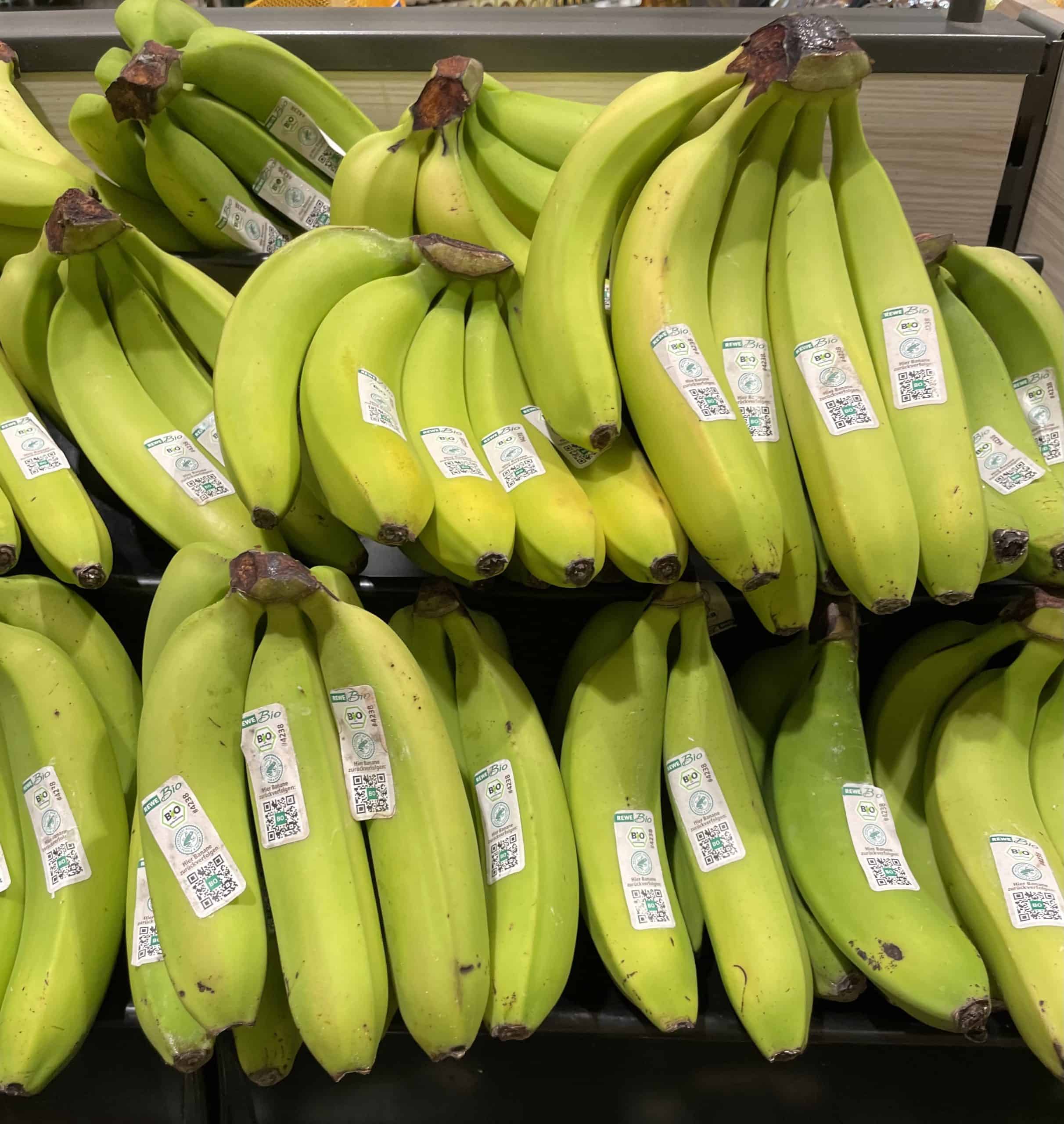 andere grüne Bananen im Supermarkt