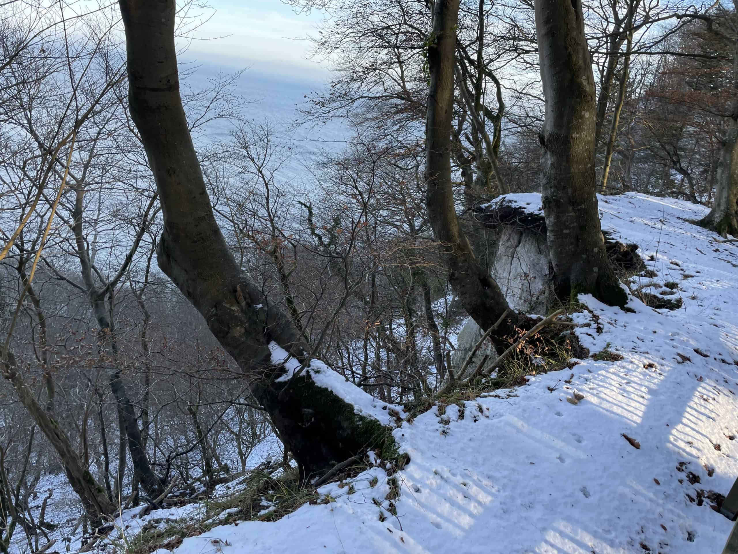 Blick den Abhang hinunter im verschneiten Wald