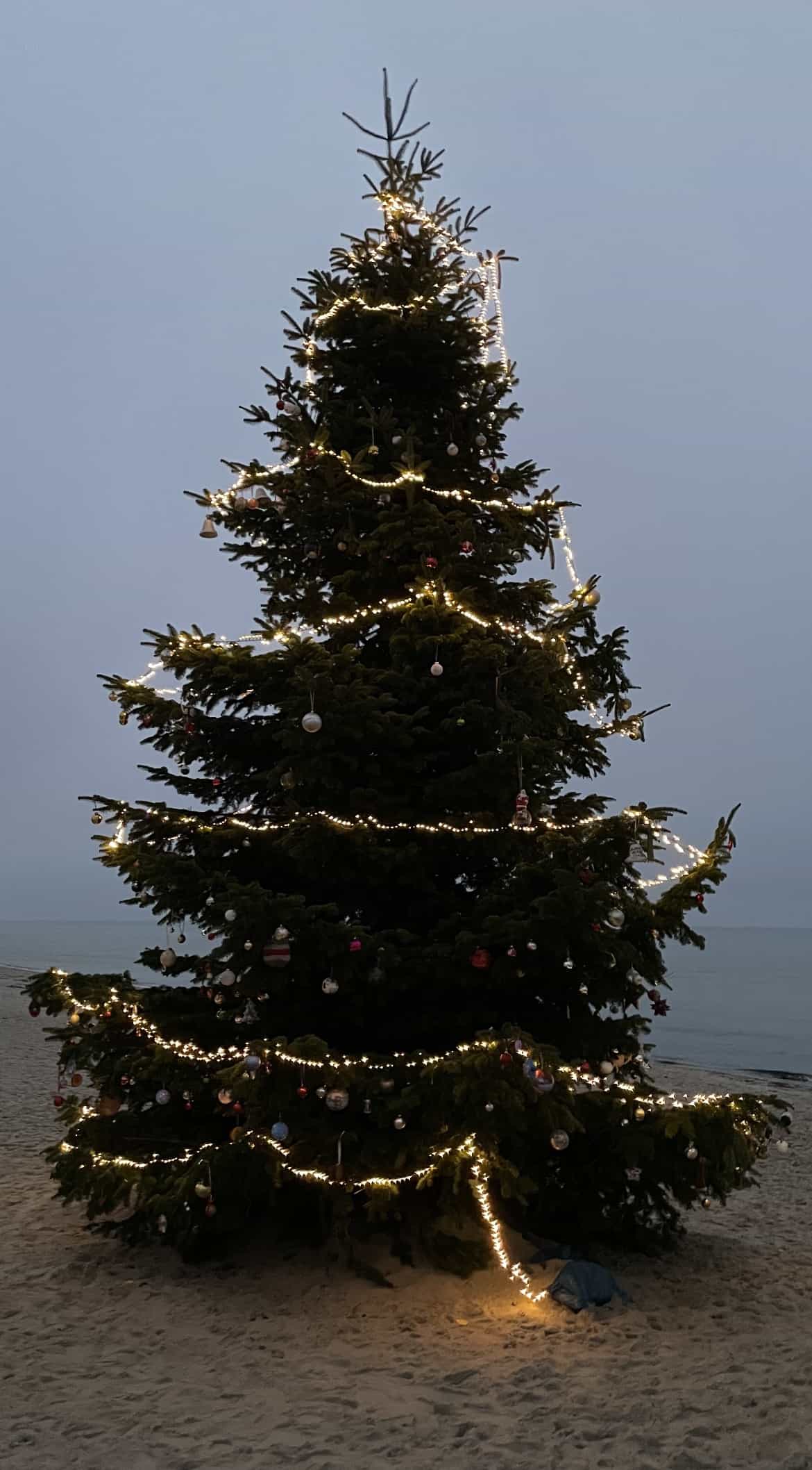 großer beleuchteter Weihnachtsbaum am Strand von Dierhagen Strand