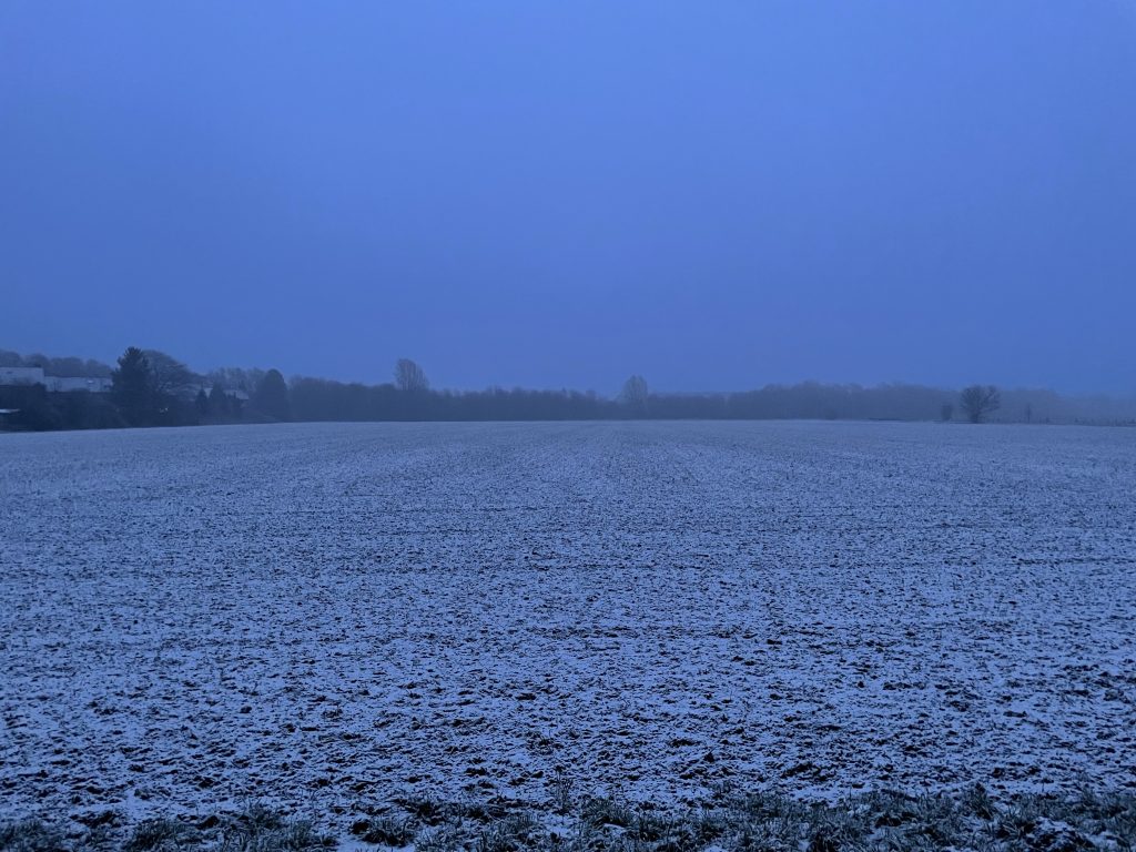 abendlich verschneites Feld