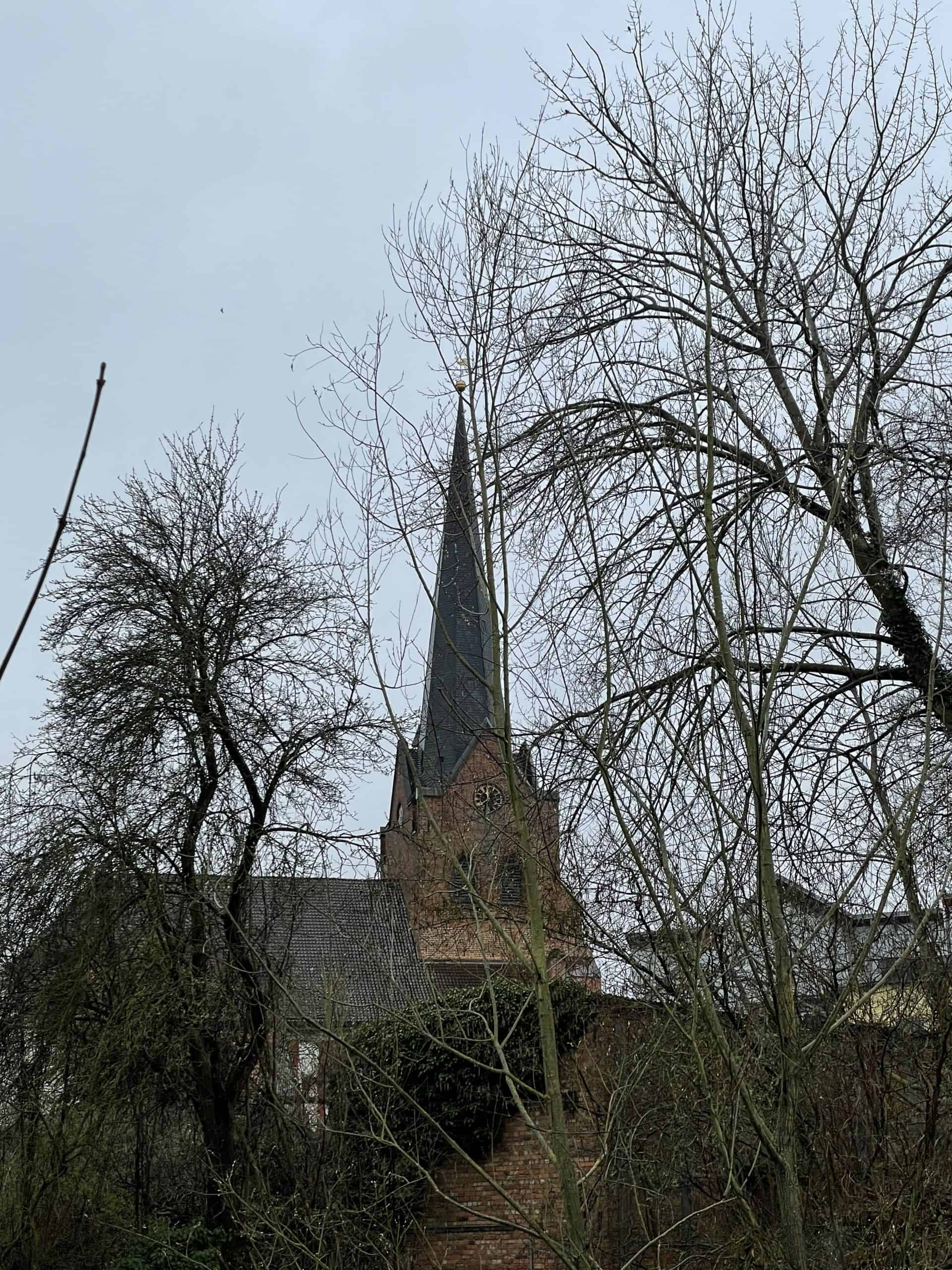 im Hintergrund die ev. Kirche in Dannenberg am Markt, eingerahmt von Bäumen