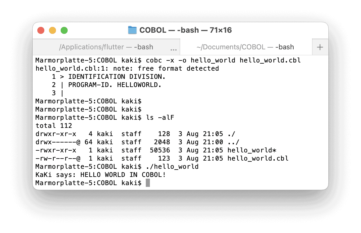 Bildschirmfoto des Terminals mit Hello-World-COBOL-Programm
