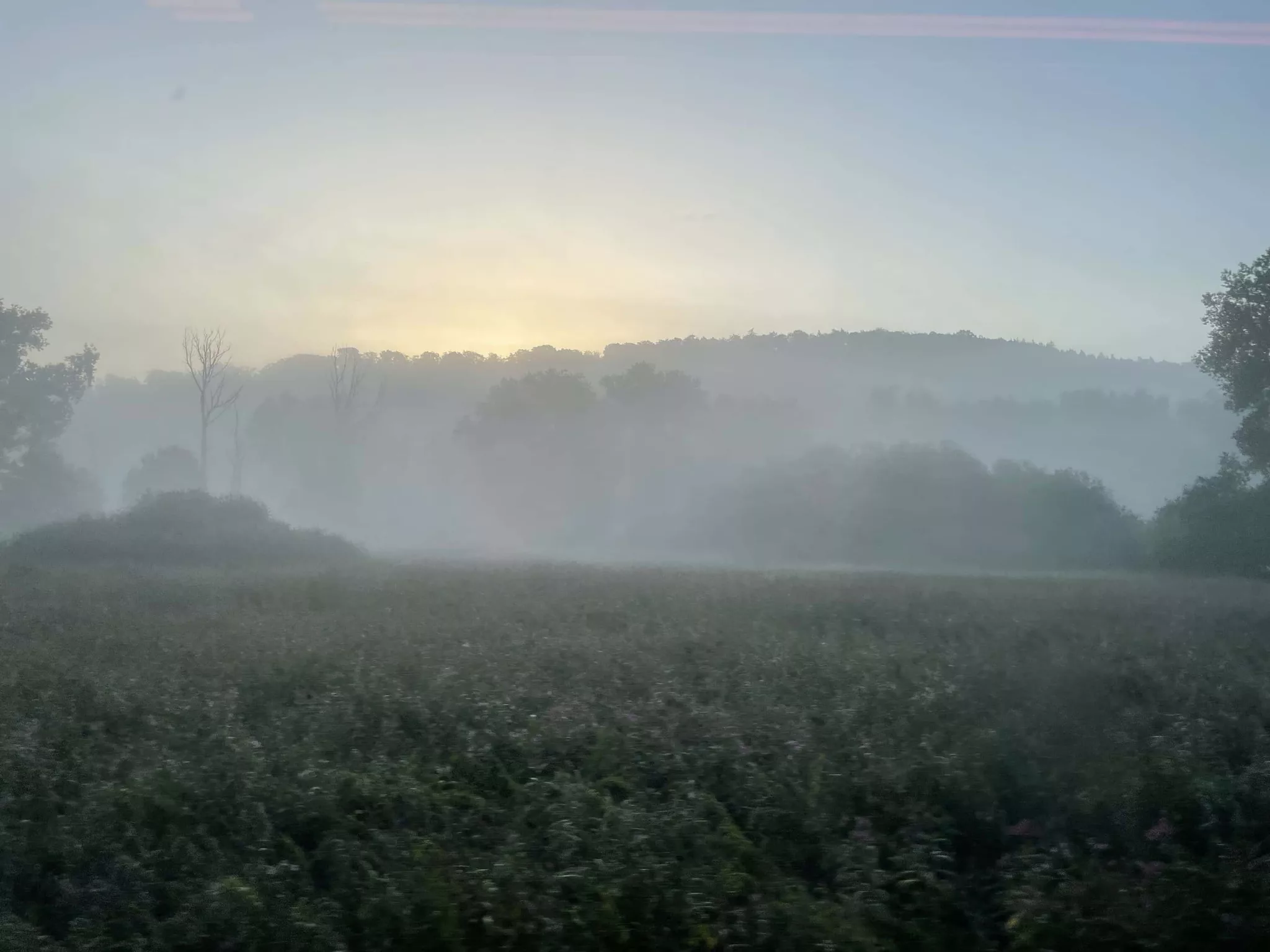 Die frühmorgendliche Natur aus dem Zugfenster gesehen #1