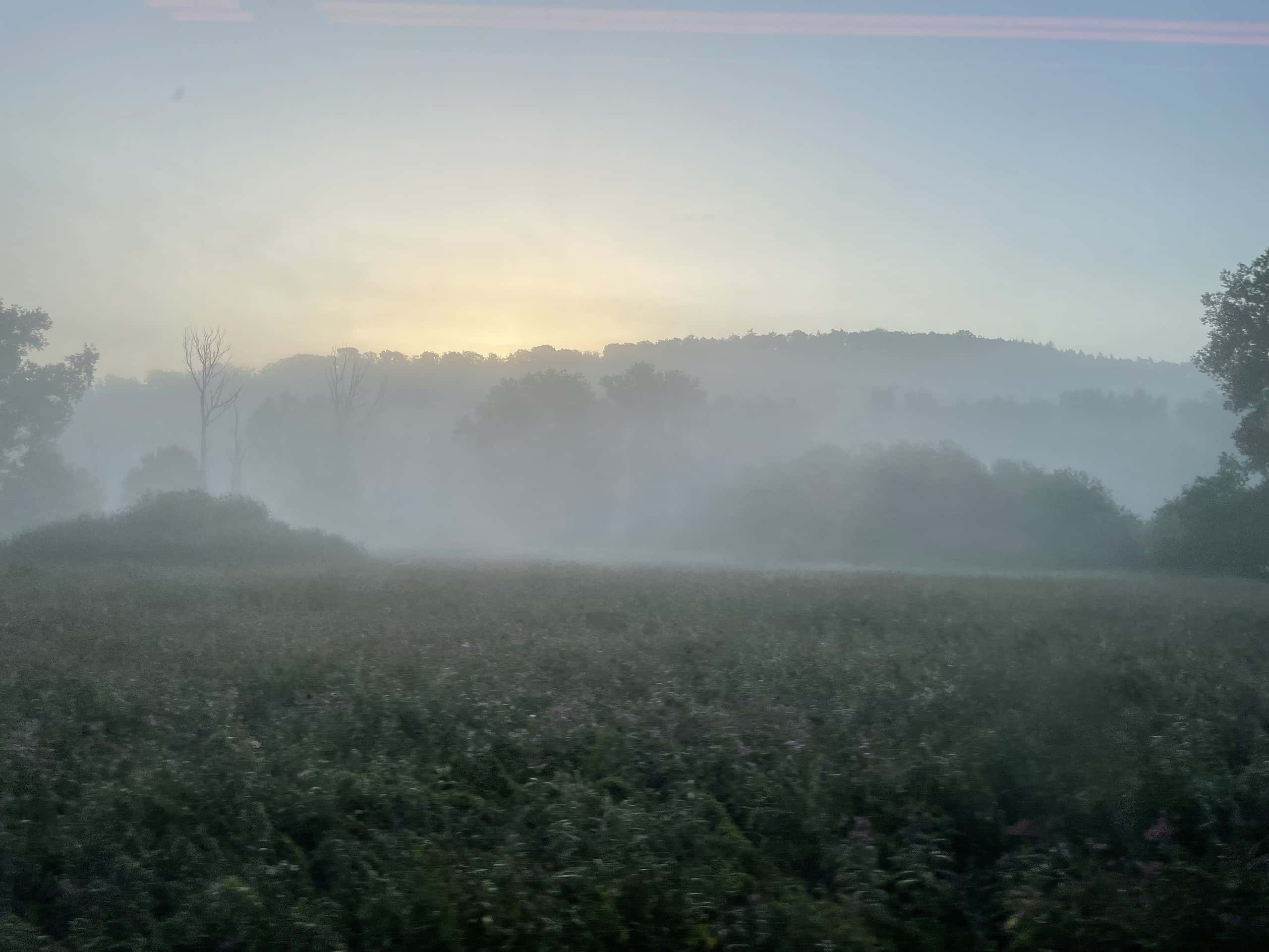 Die frühmorgendliche Natur aus dem Zugfenster gesehen #[