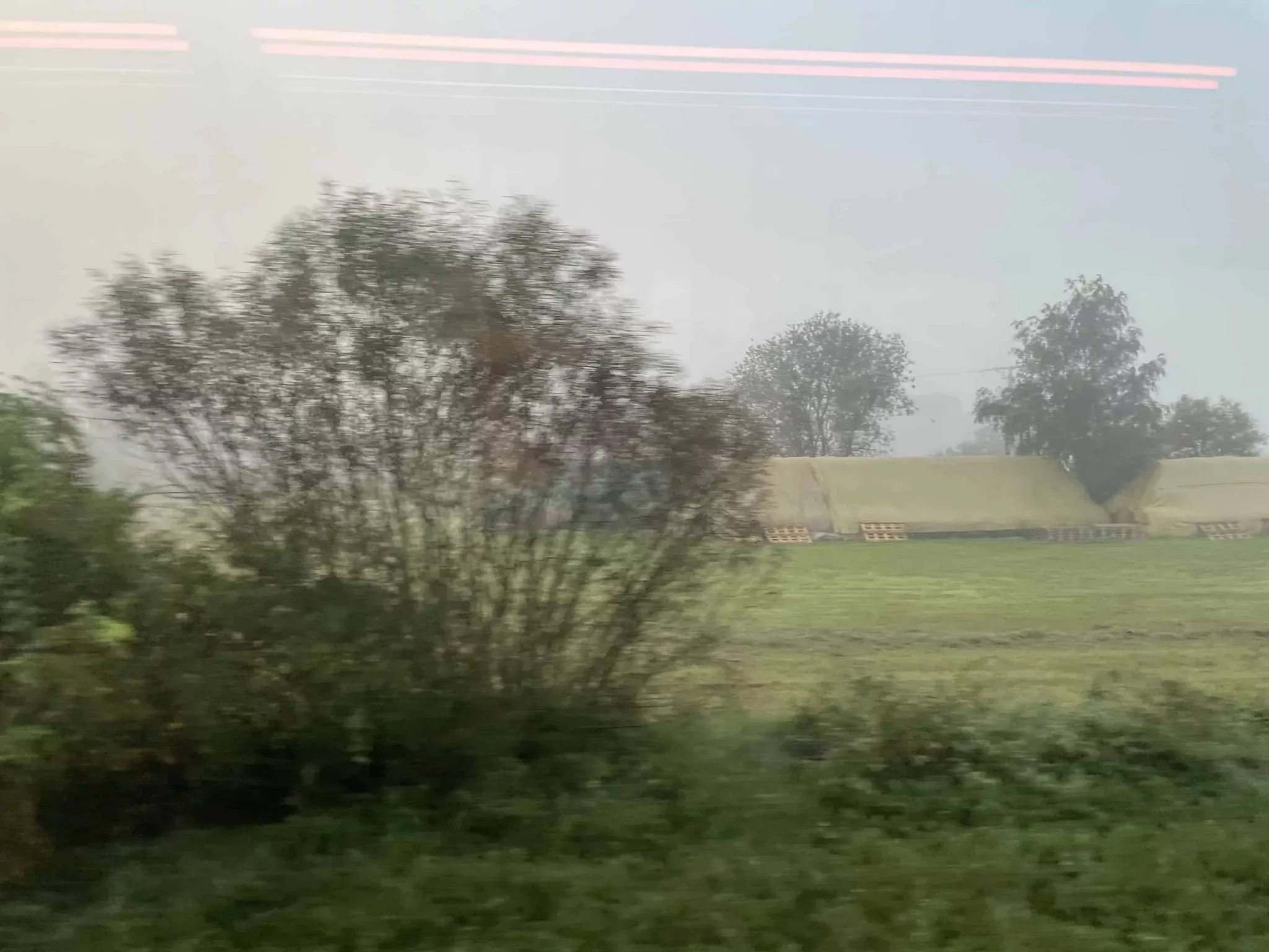 Die frühmorgendliche Natur aus dem Zugfenster gesehen #5