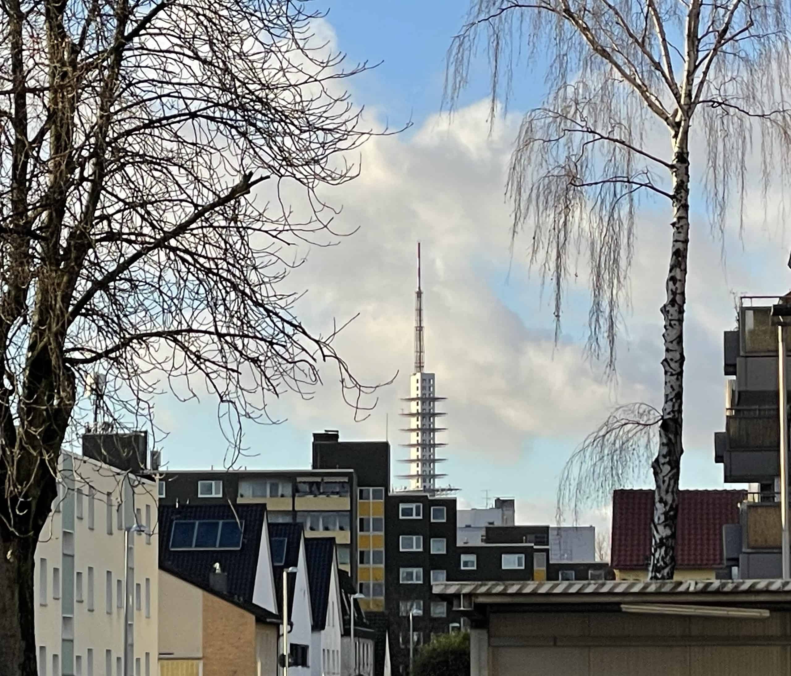 Blick die von Häusern gesäumte Straße entlang. Eingerahmt von zwei Birken und der Telemax, der hannovesche Funkturm, im Hintergrund.