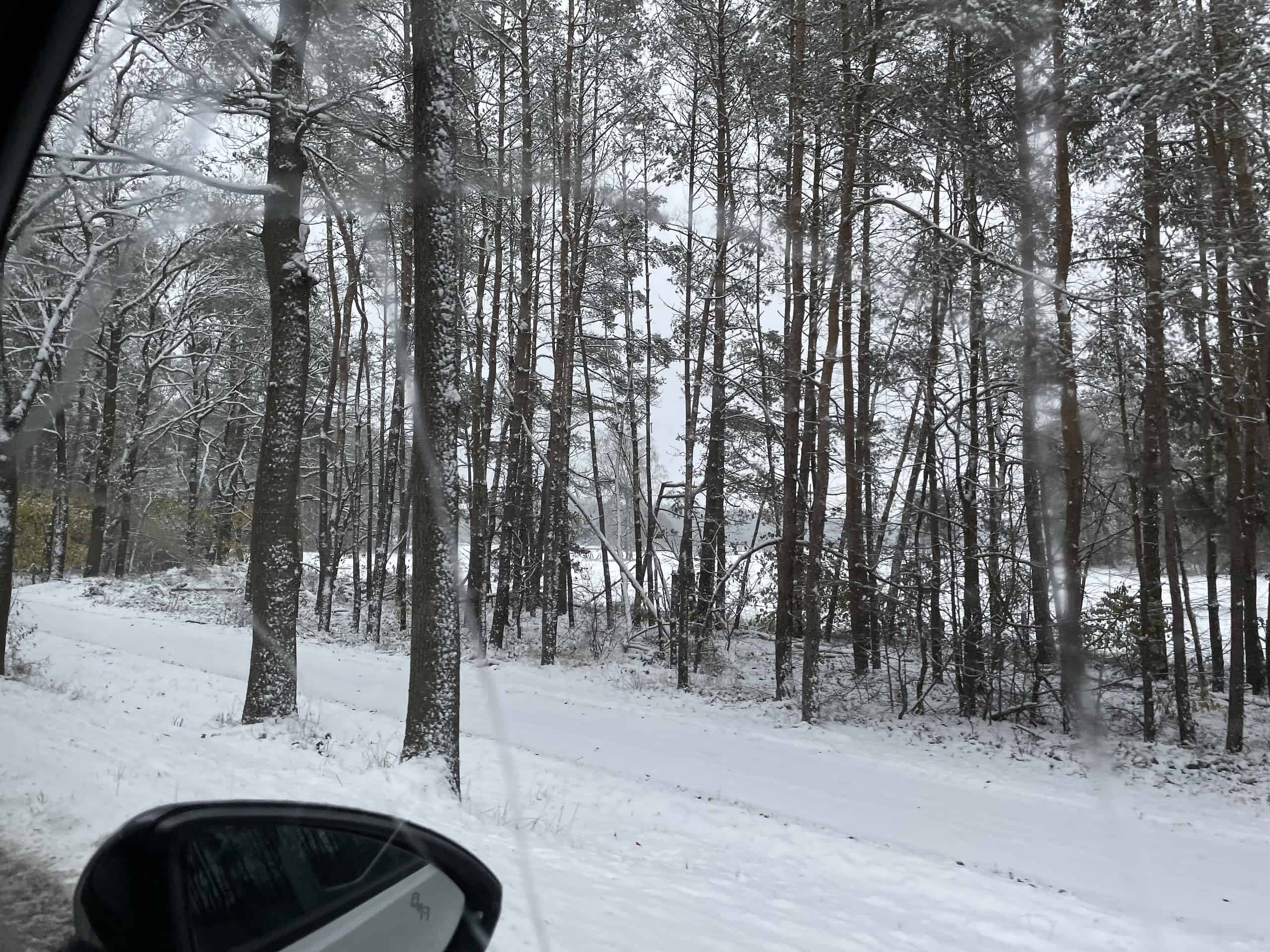 Schneebedeckter Boden mit Bäumen nach rechts aus dem fahrenden Auto.
