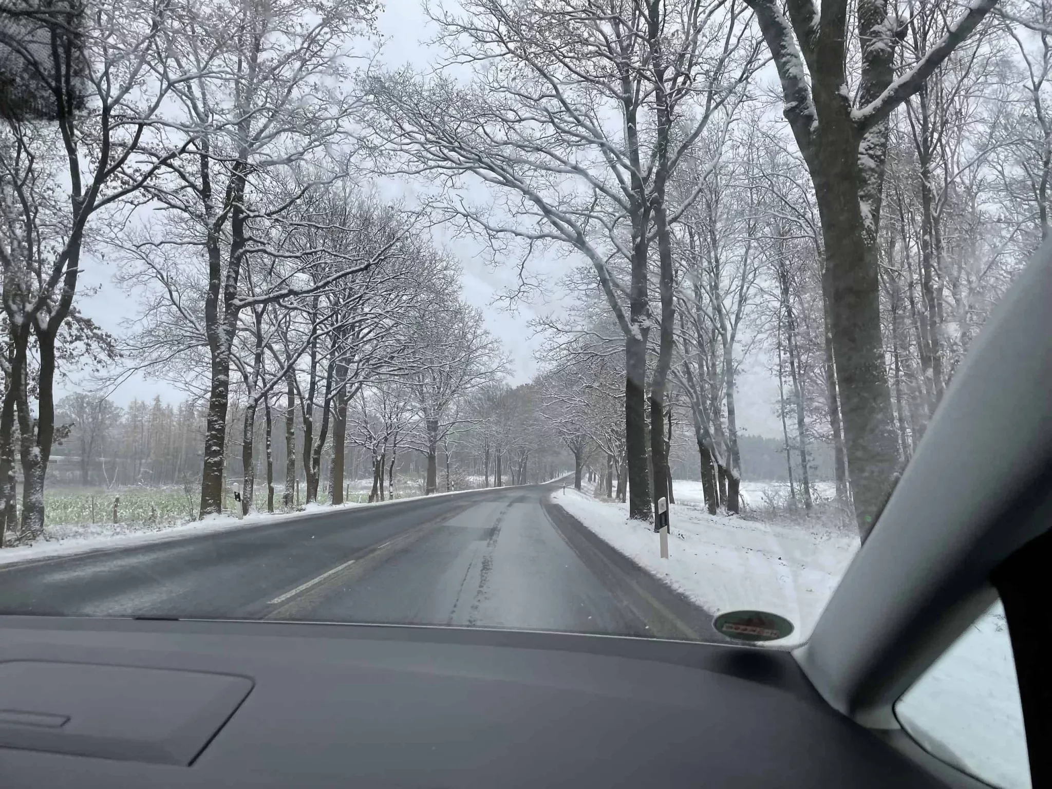 Schwarze Straße nach vorn mit schneebedeckten Bäumen am Straßenrand.