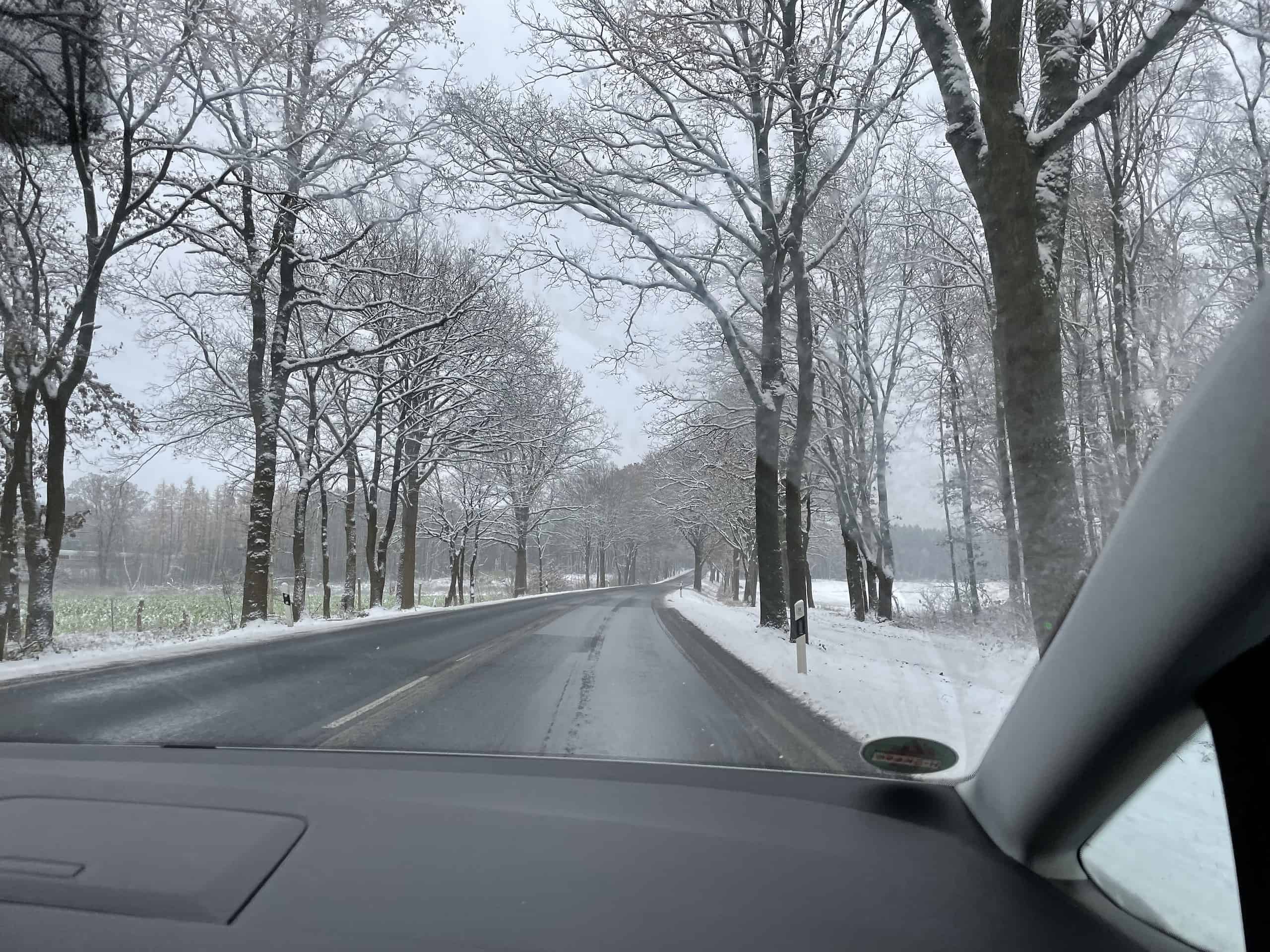 Schwarze Straße nach vorn mit schneebedeckten Bäumen am Straßenrand.