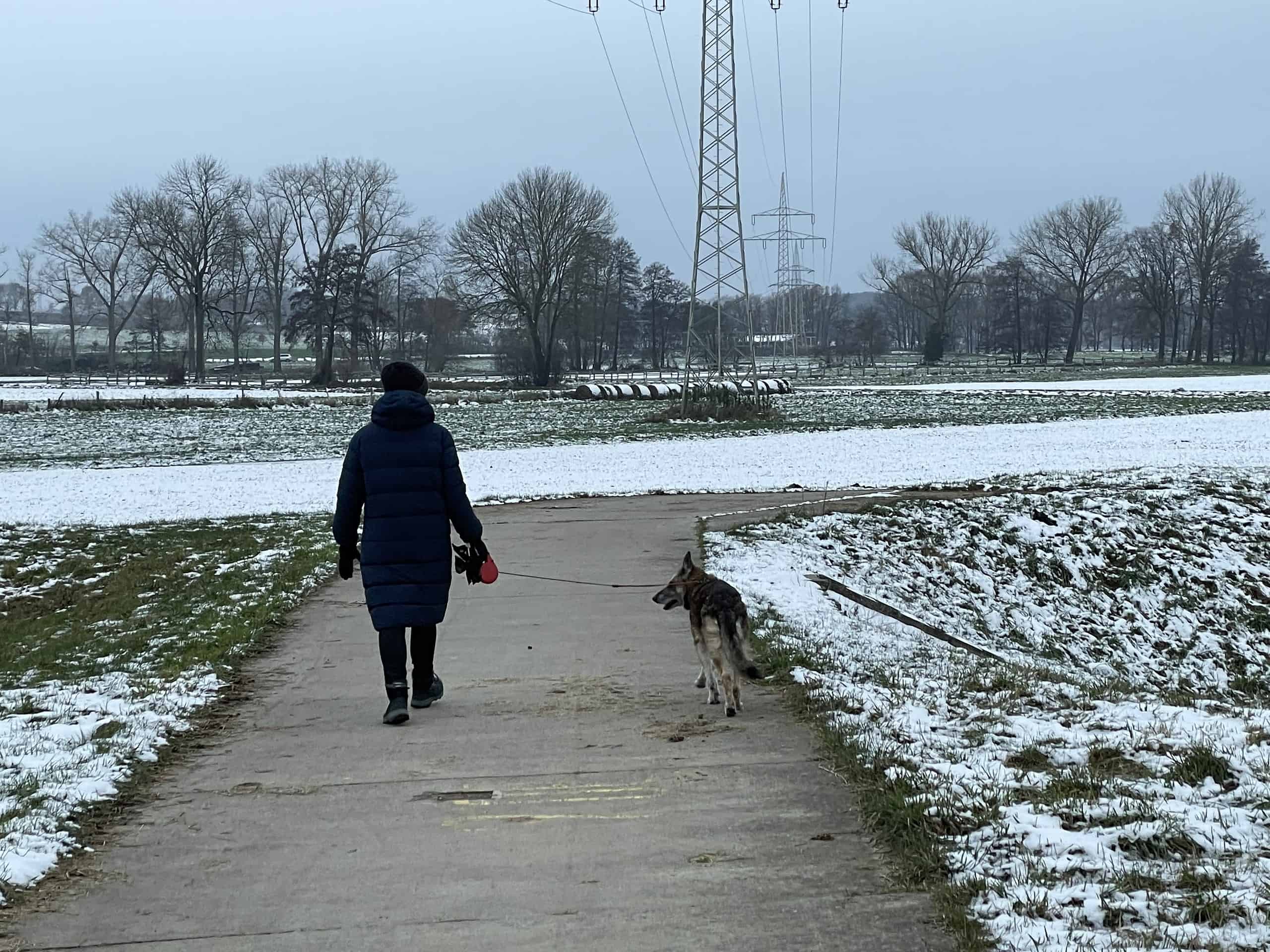Soazierend mit Hund am obigen Kanal in Winterlandschaft.