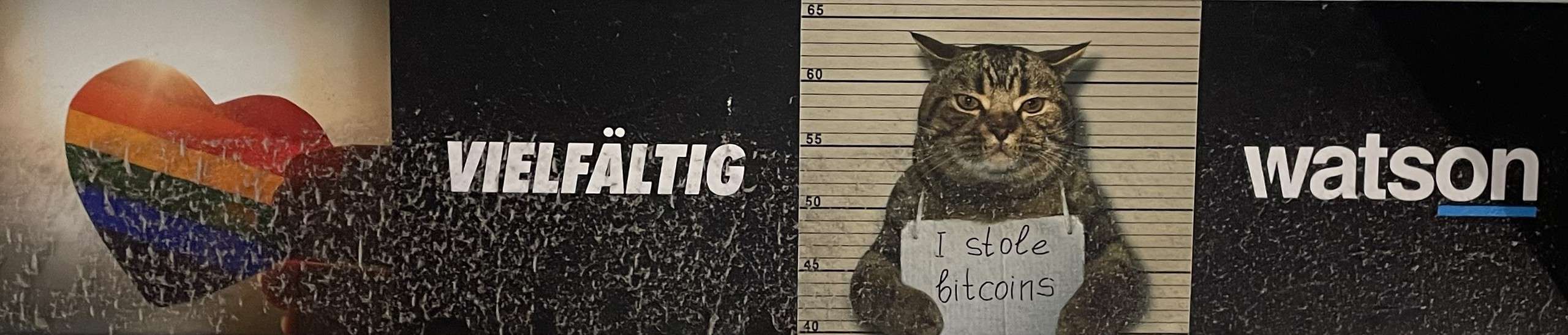 Karzenreklame: I stole Bitcoins - Katze in Polizeifotopose.