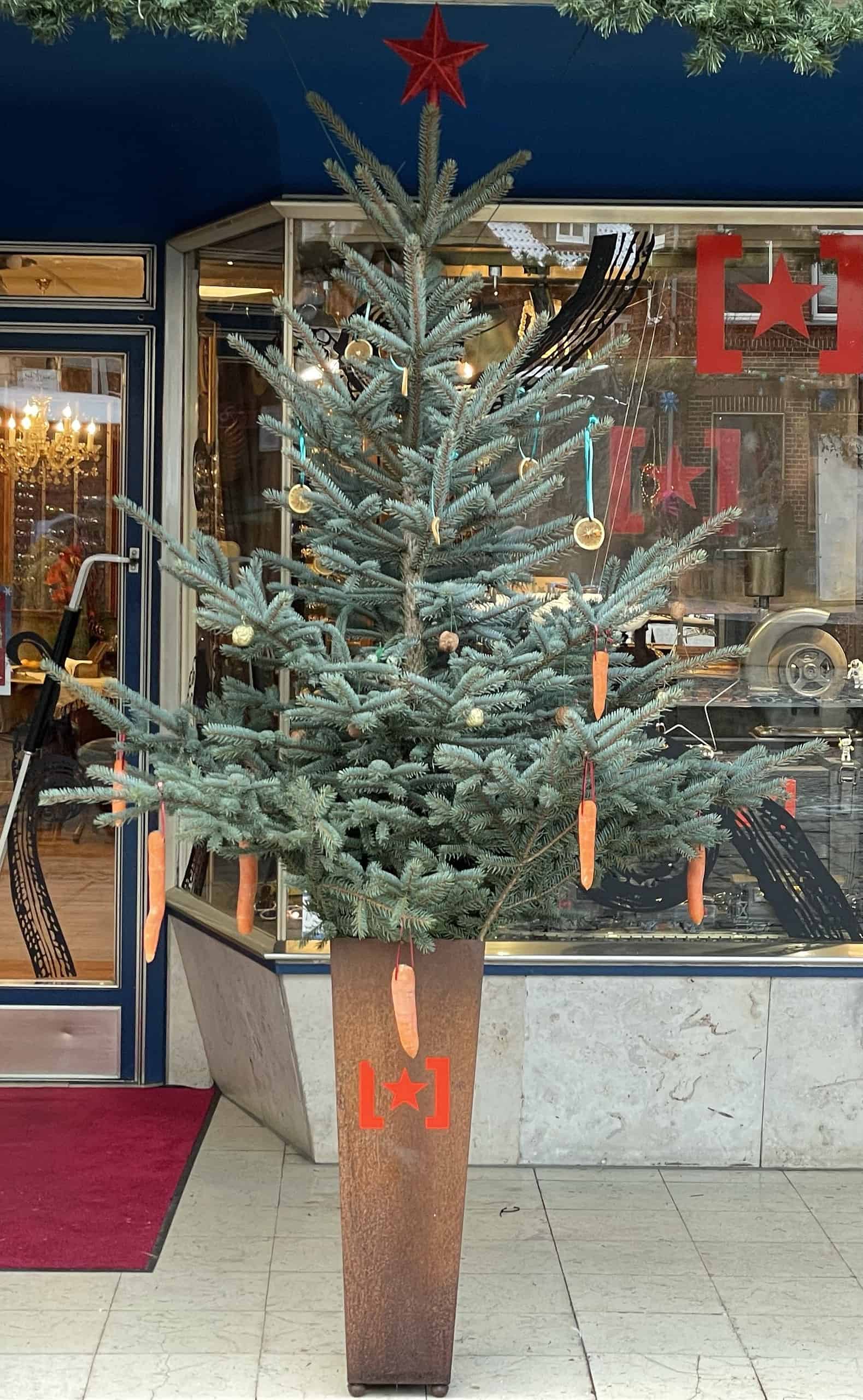 Weihnachtsbaum vor Optikergeschäft mit Karotten geschmückt.