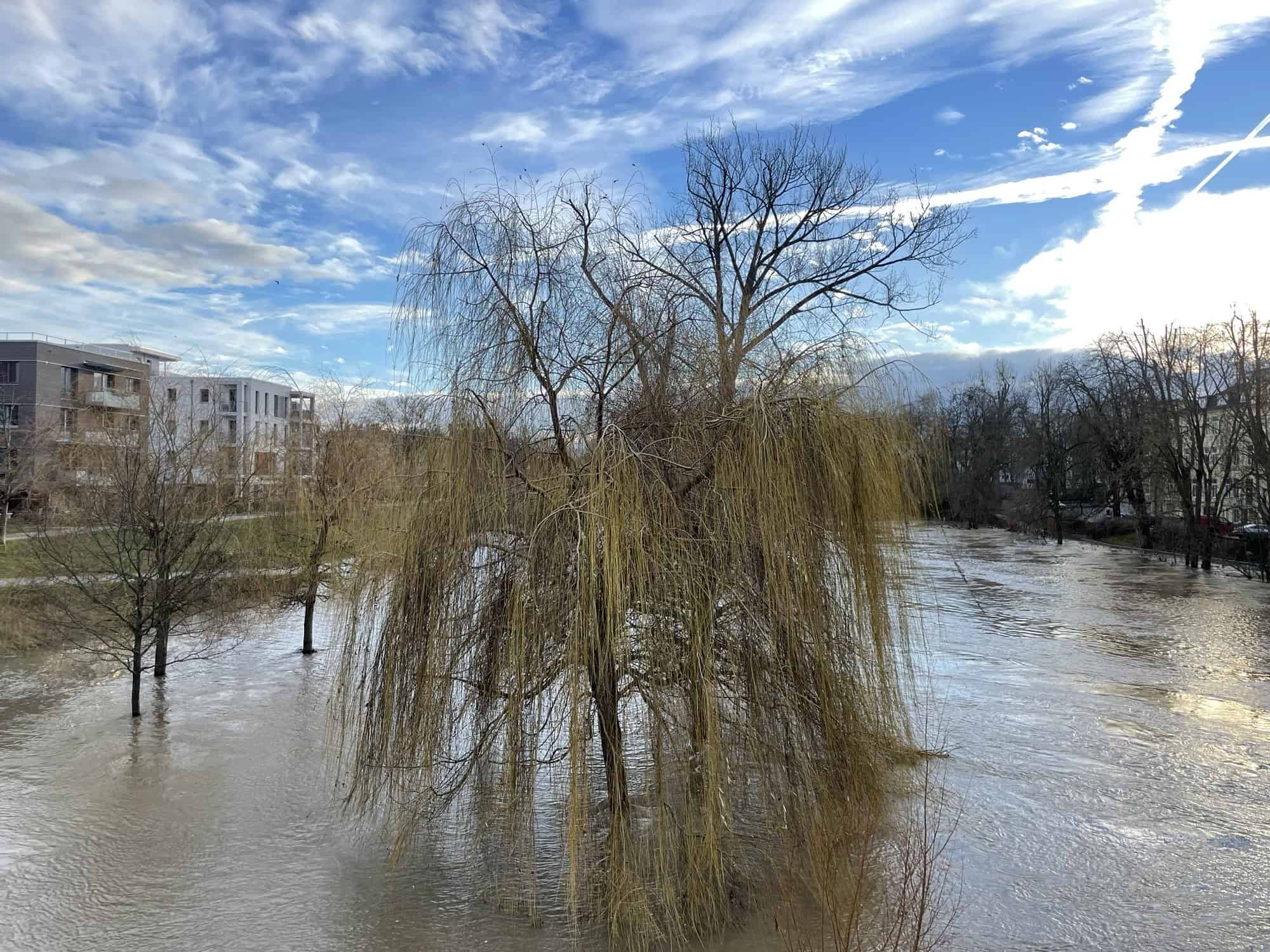 Blick auf die Ihme mit Bäumen in der Mitte aufgrund der Überschwemmung.
