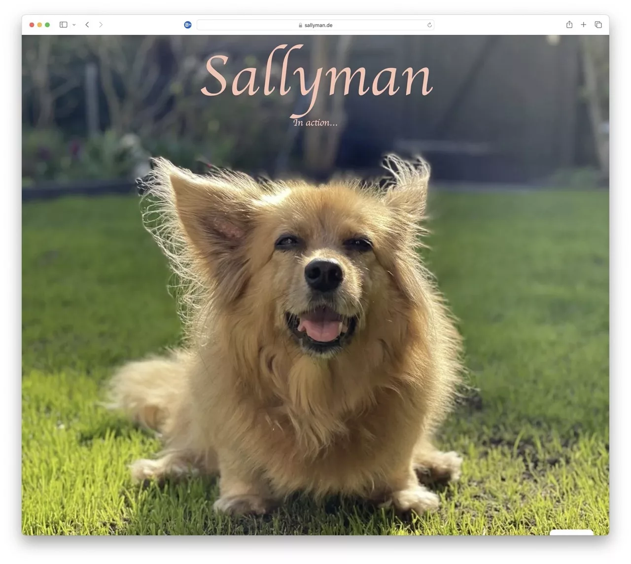 Die Startseite von sallyman.de mit Sally auf dem Rasen.