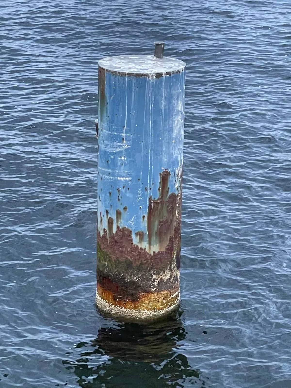 Größerer blauer Metallpolder in der Ostsee bei einem nicht im Bild befindlichem Steg.
