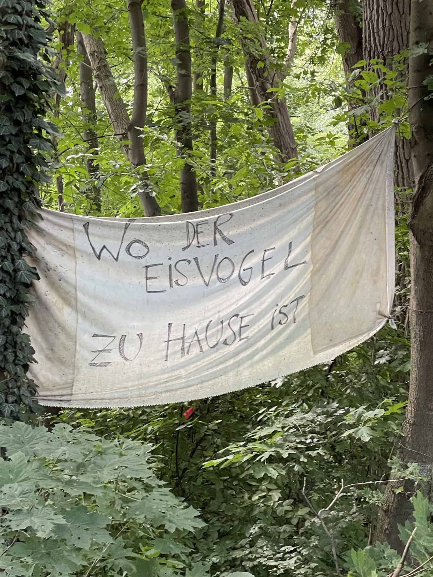 Im Wald zwischen zwei Bäumen ein großes Laken mit der Aufschrift: Wo der Eisvogel zu Hause ist. Vom Protest gegen die Südschnellwegerweiterung.