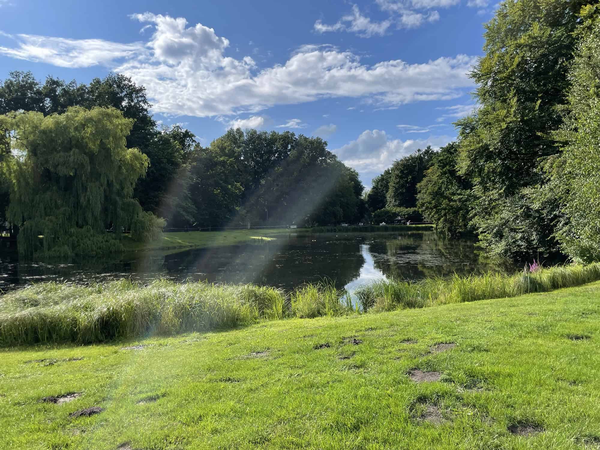 Der grüne Park mit Teich.