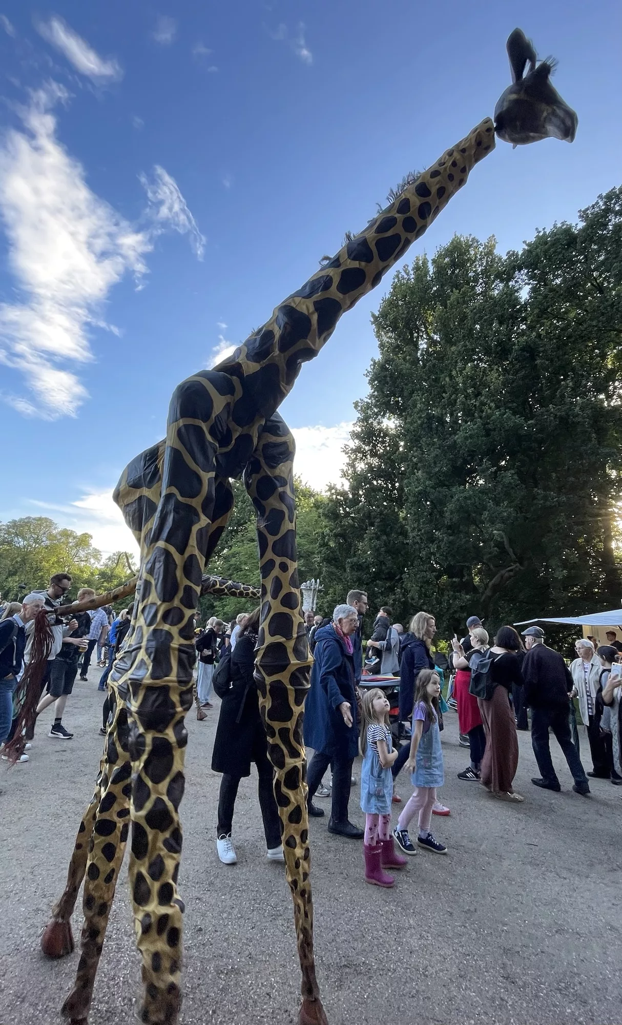 Eine der beiden Giraffen im Publikum unterwegs.