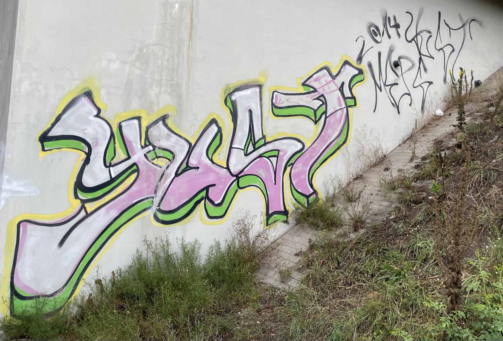 Buntes Graffiti-Tag an Betonbrückenwand, davor und nach rechts anateifeed eine Rasengestrüppfläche.