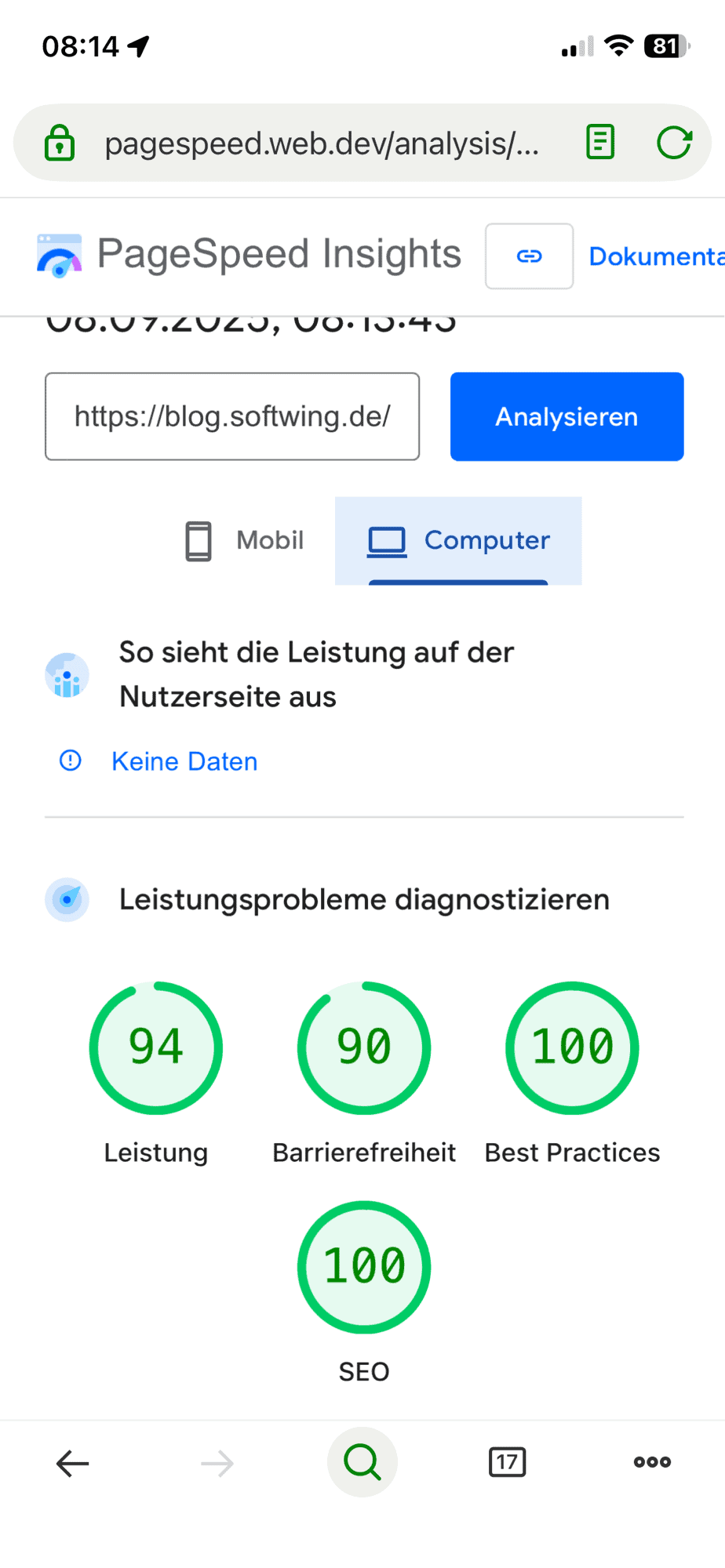 PageSpeed Insights mit grünen Werten für Desktop.