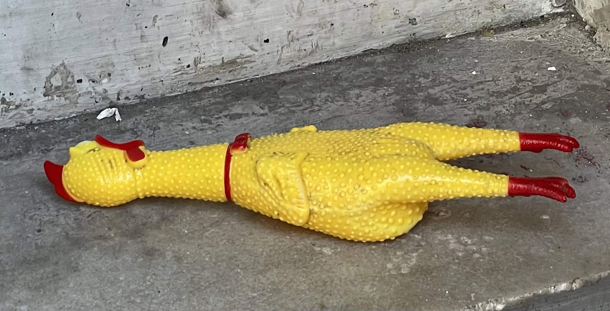 Eine gelbe Gummiebte mit roten Extremutäten auf Treppenstufe.