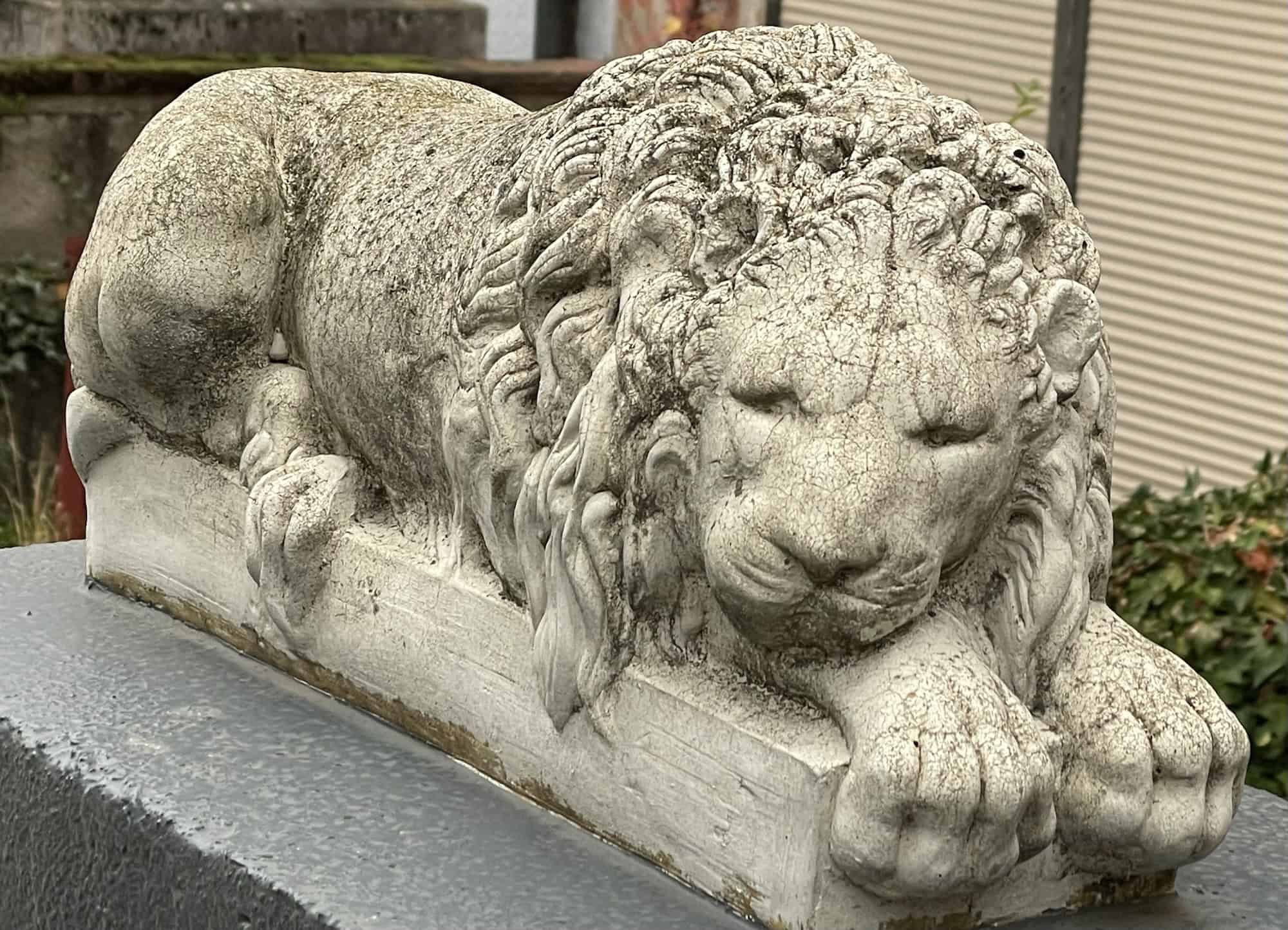 Grau-weißer liegender Steinlöwe.