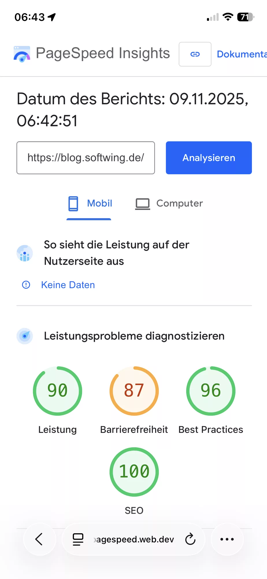 Screenshot von PageSpeed Insights mit recht guten Werten des Blogs für Mobil.