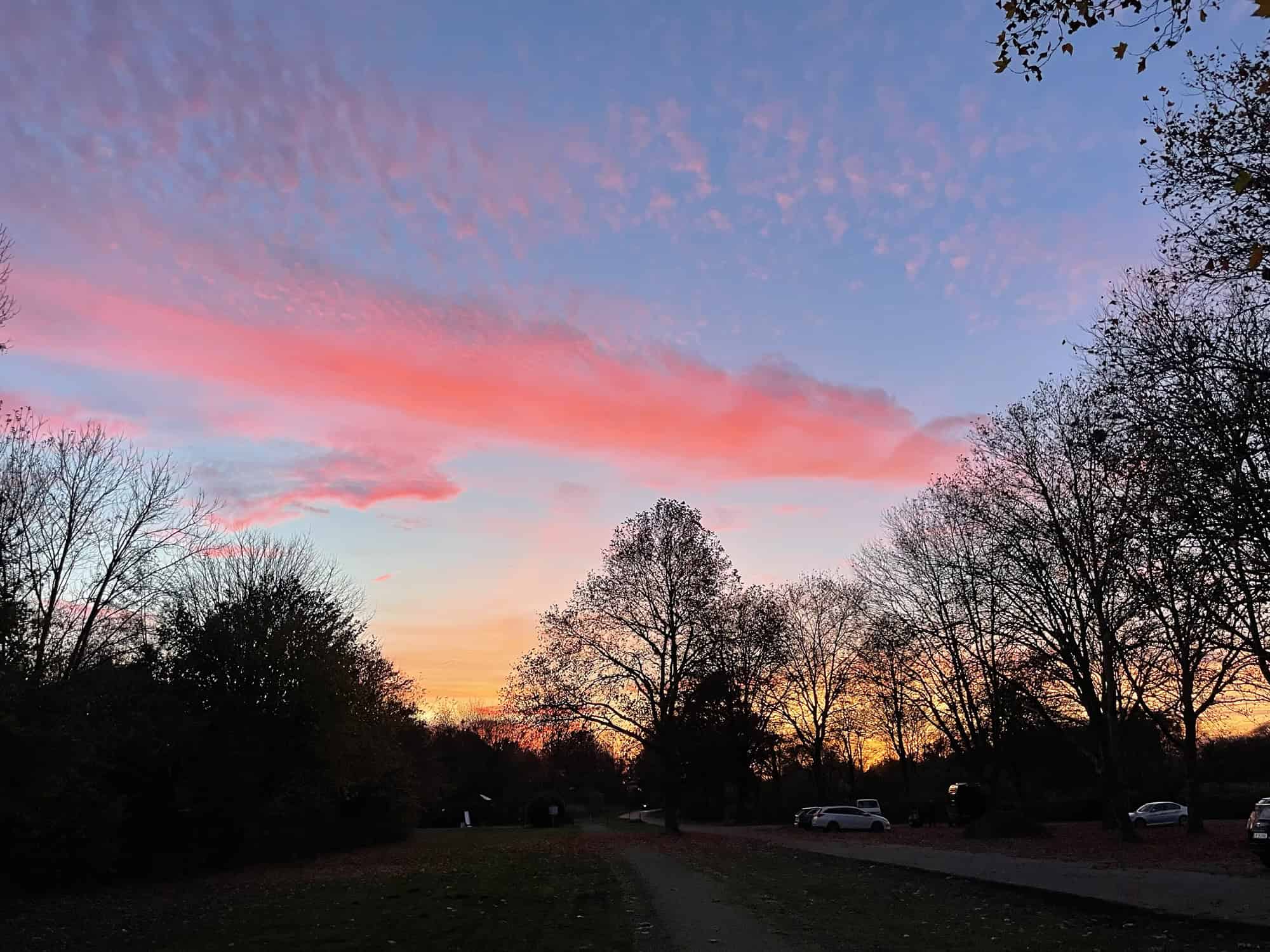 Dämmerlich, Rasenfläche im Vordergrund, hinten weiße Häuser, schwarze Bäume, ein gelb-oranger Streifen am unteren Himmel sowie rosa Streifen, darüber hellblauer Abendhimmel mit Wolken.