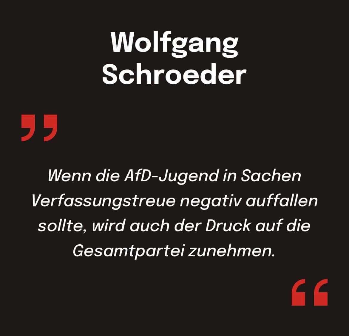 Wolfgang Schroeder: Wenn die AfD-Jugend in Sachen Verfassungstreue negativ auffallen sollte, wird auch der Druck auf die Gesamtpartei zunehmen.