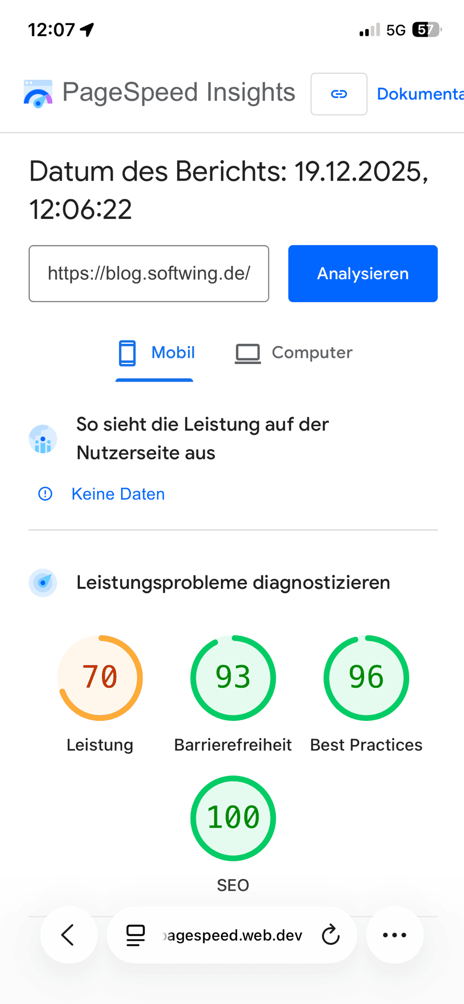 Screenshot PageSpeed Insights mit leidlich guten Werten für die Mobil-Andicht des Blogs.