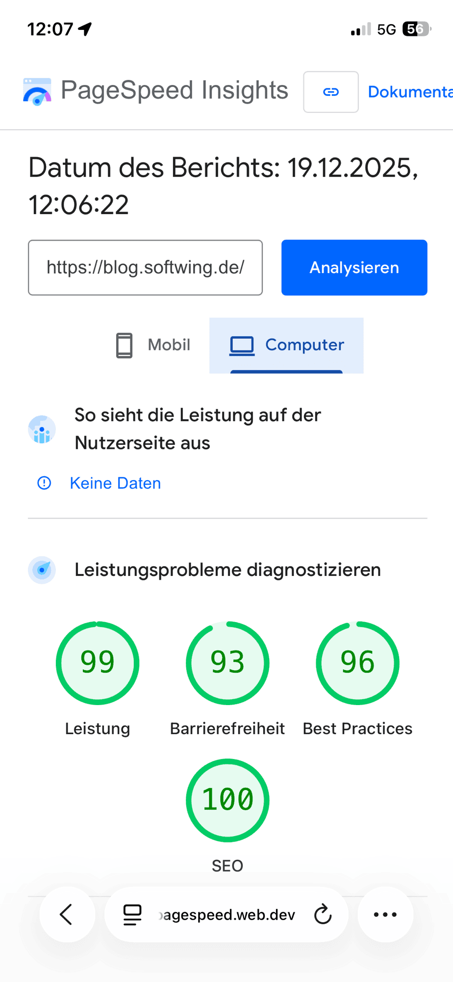 Screenshot PageSpeed Insights mit guten Werten für die Desktop-Andicht des Blogs.
