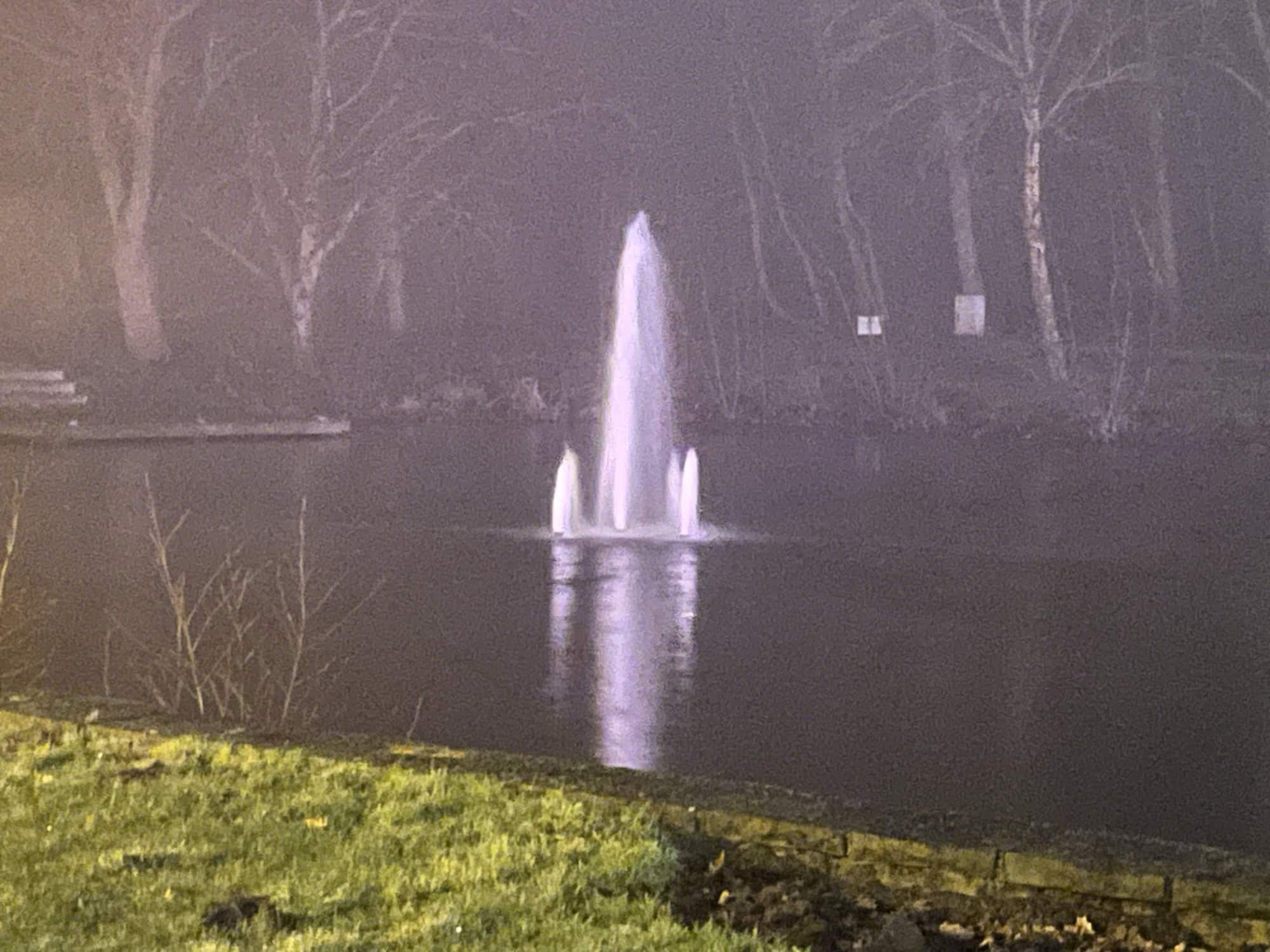 Abendlicher Kurpark mit Bsum im Vordergrund und nunten Lichern von Weihnachtsbuden im Hinttergrund.