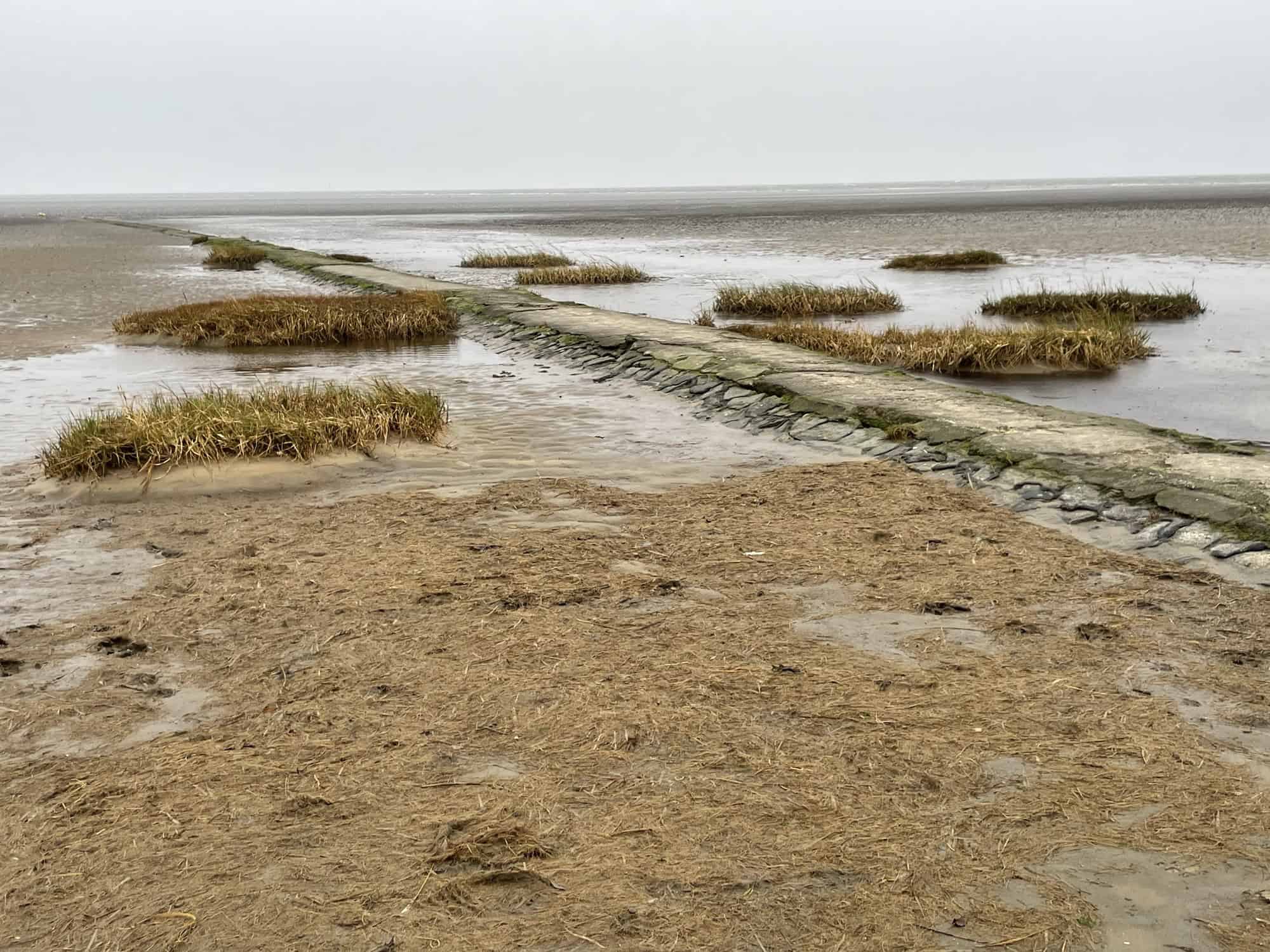 Strand zur Ebbe mit Salzwieseninseln.