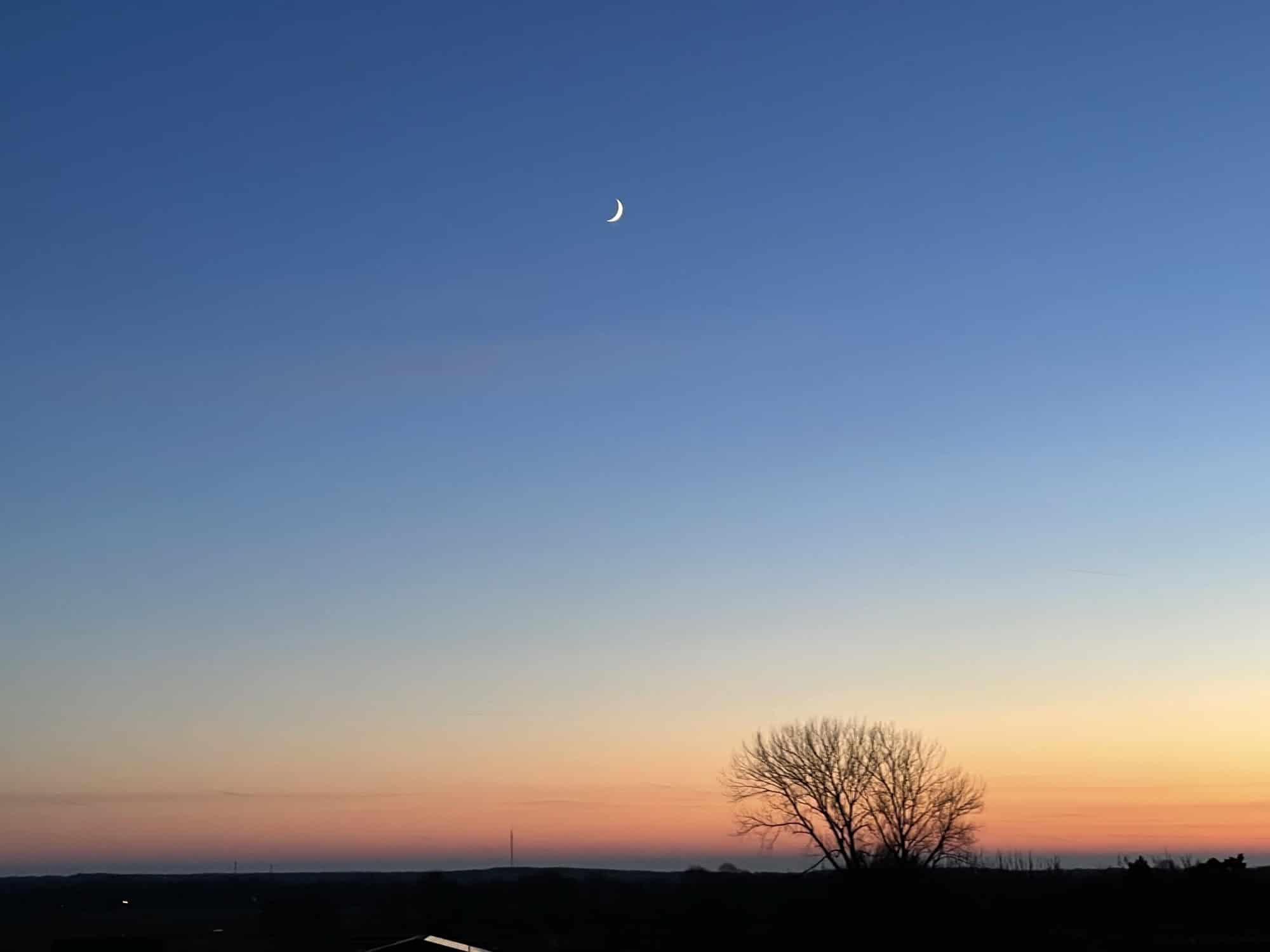 Sonnenuntergang mit schwarzem Boden, Baumgruppe rechtd und orot-orange-gelber Streifen, darüber blauer Himmel.