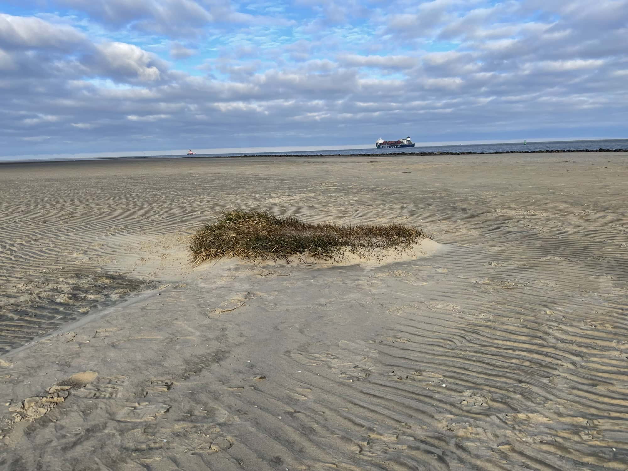 Eine Salzwiesebunsrl inmitten des Sandes bei Ebbe.