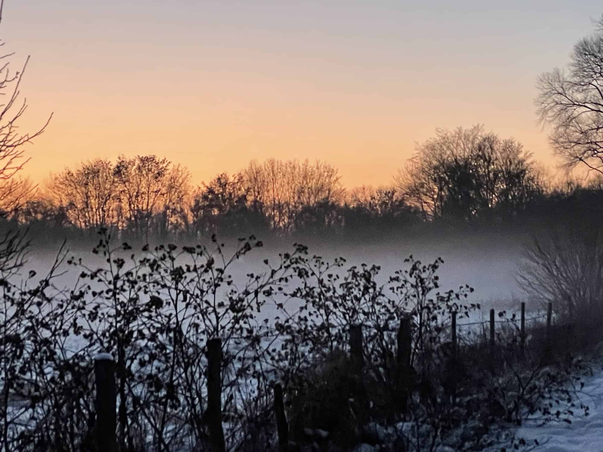 Landschaftszene verschneit im Abendrot mit Nebel.