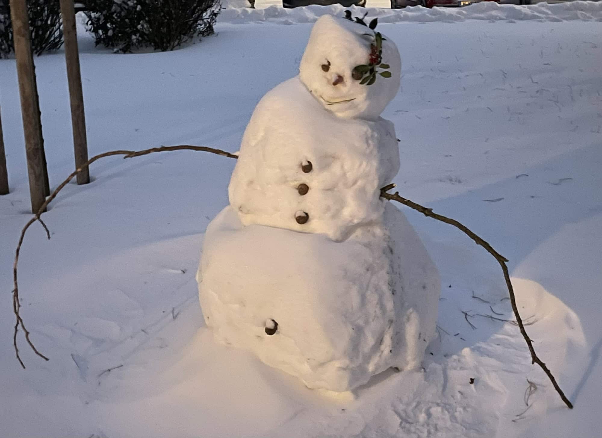 Schneemann auf Schneefeld mit langen, seitlichen Astarmen im morgendlichen Dunkel.