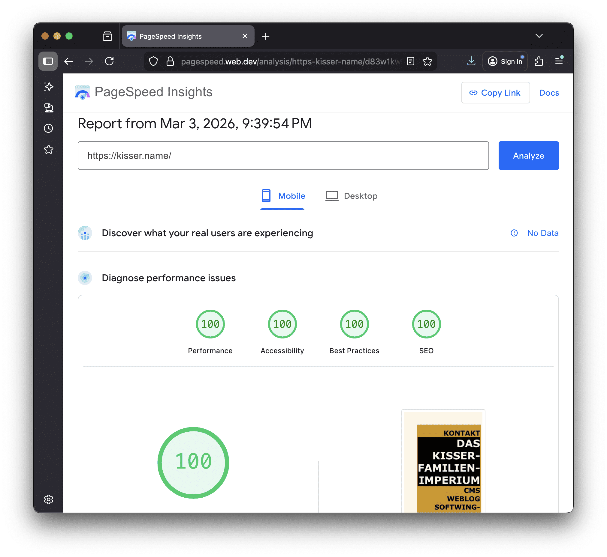 PageSpeed Insights mit Bestnoten für kisser.name in Mobile-Ansicht