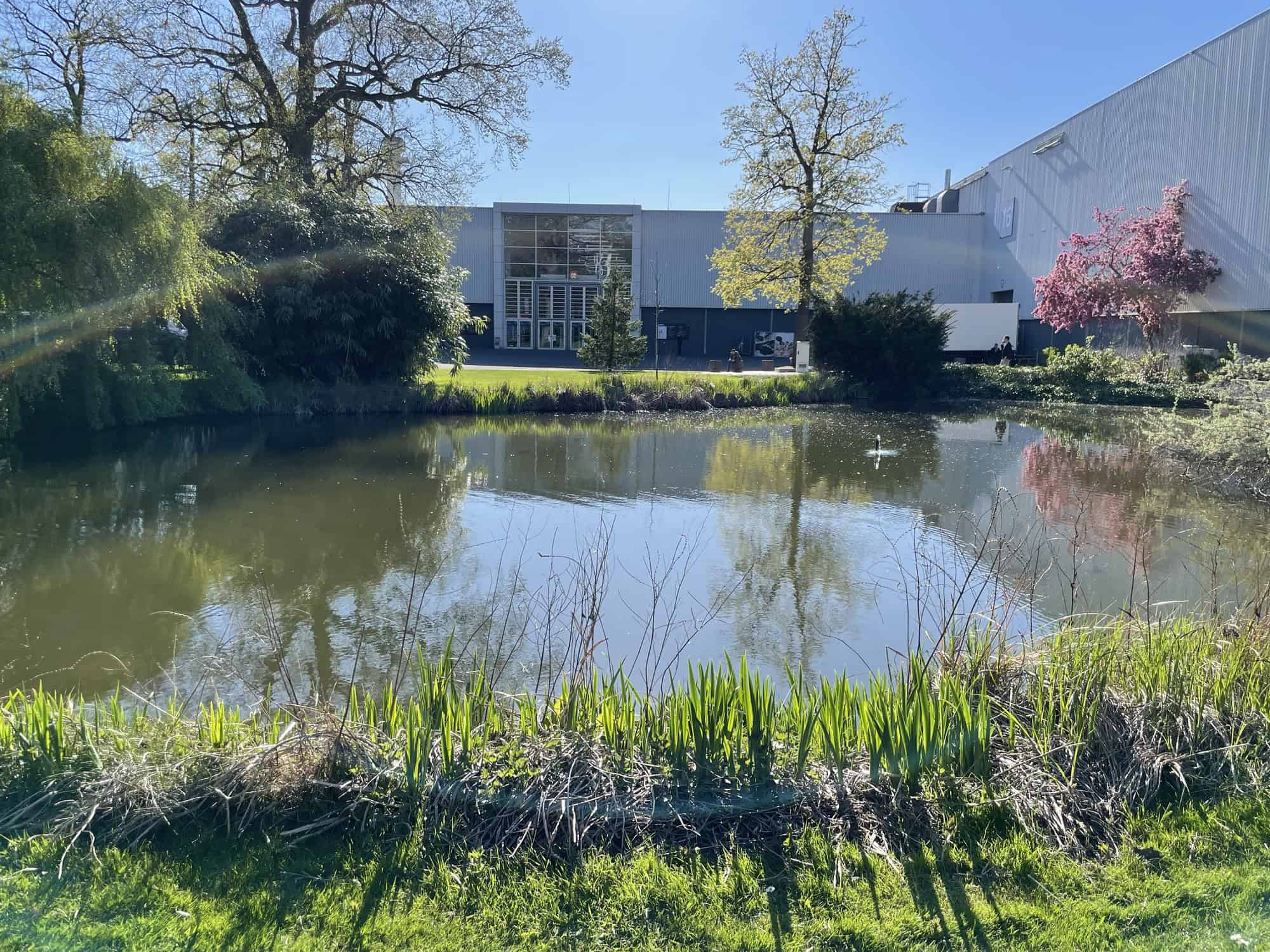 Ein idyllischer Teich von Grün unsäumt mitten auf dem Messegelände.