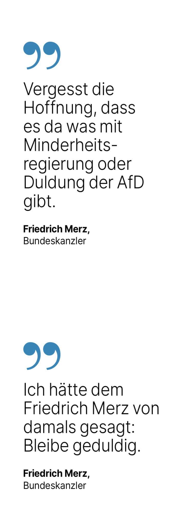 Friedrich Merz, Bundeskanzler: Hoffnung, dass es da was mit Minderheitsregierung oder Duldung der AfD gibt. + Ich hätte dem Friedrich Merz von damals gesagt: Bleibe geduldig.