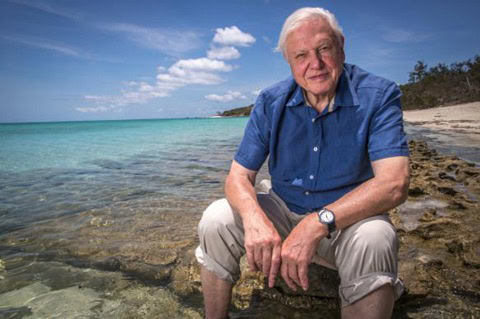 Sir David Attenborough sitzend auf Stein , blaue Hose, beige hochgekrenpelte Hose vor dem Great Barrier Reef<