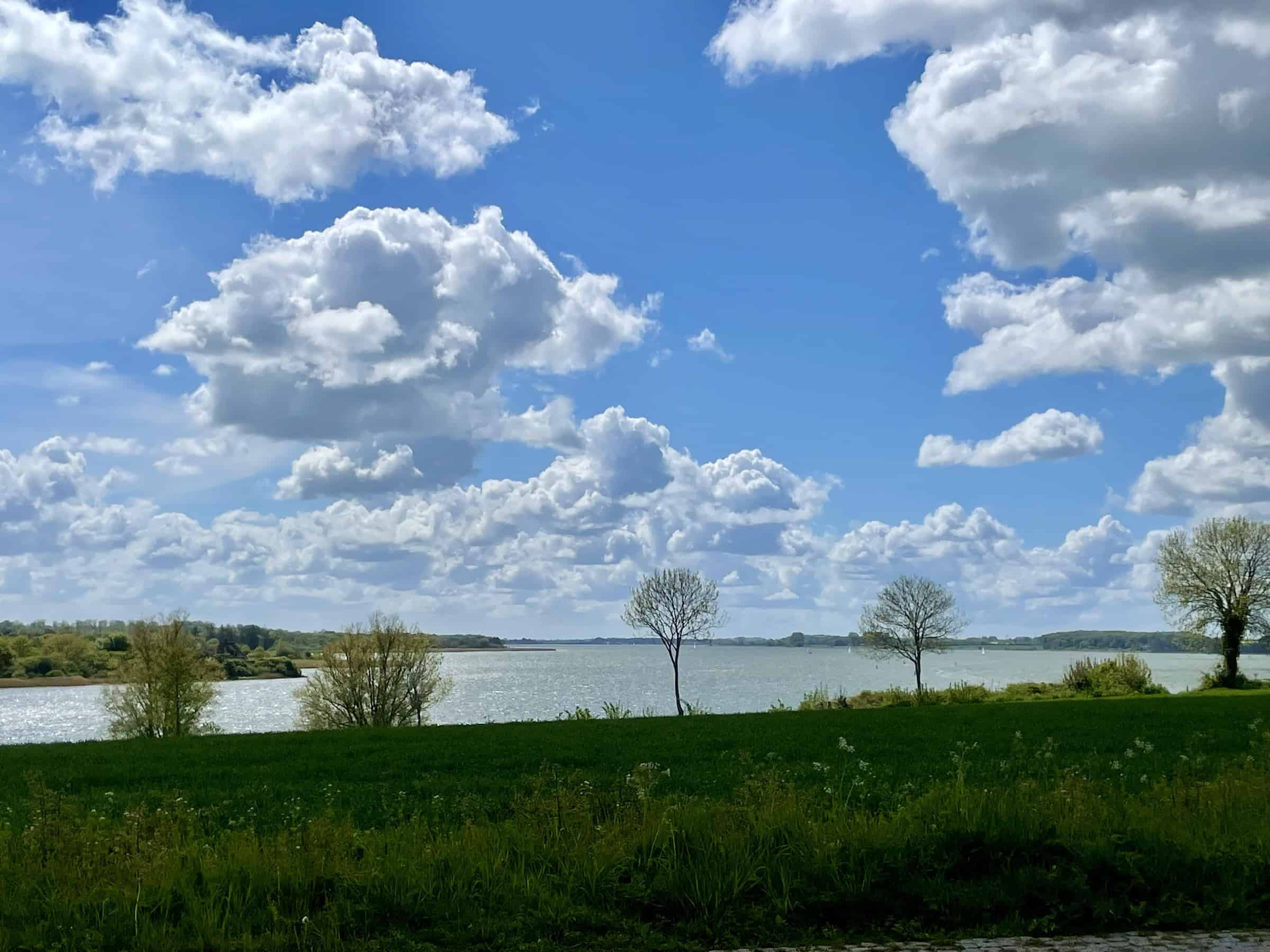 Blick auf die Schlei von Amalienburg.