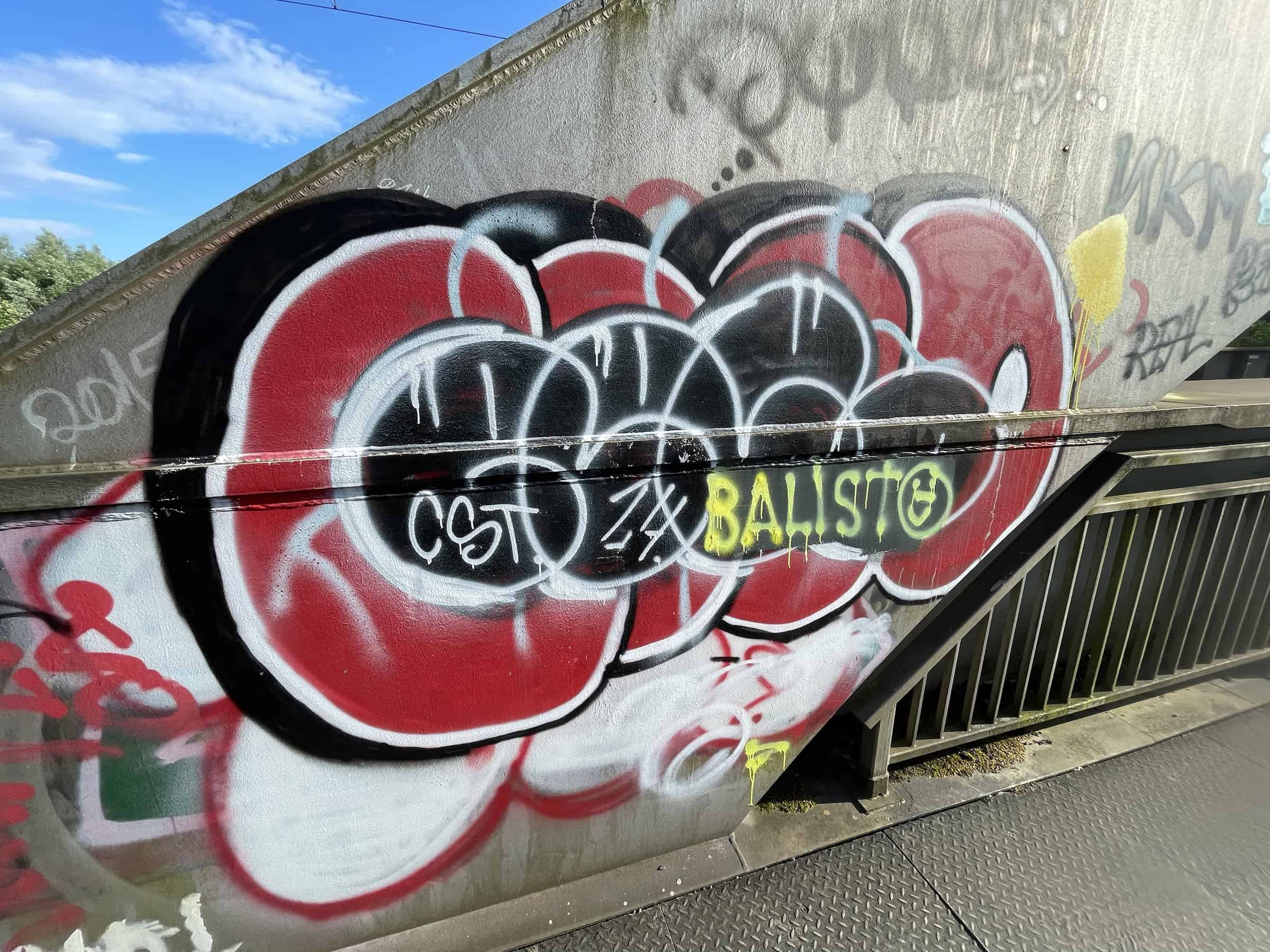 Graffiti an einer Wisenbahnbrücke.